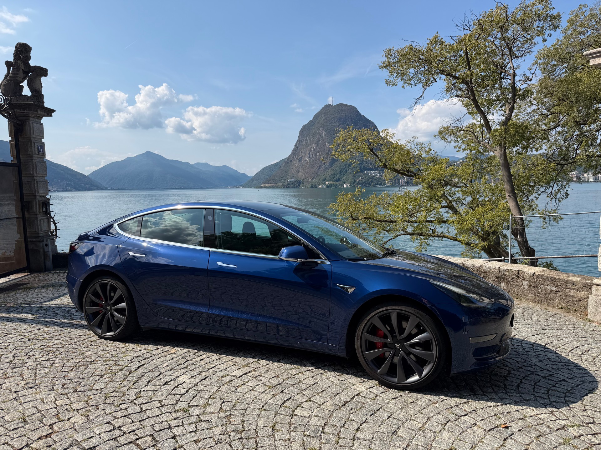 TESLA Performance D-image-4