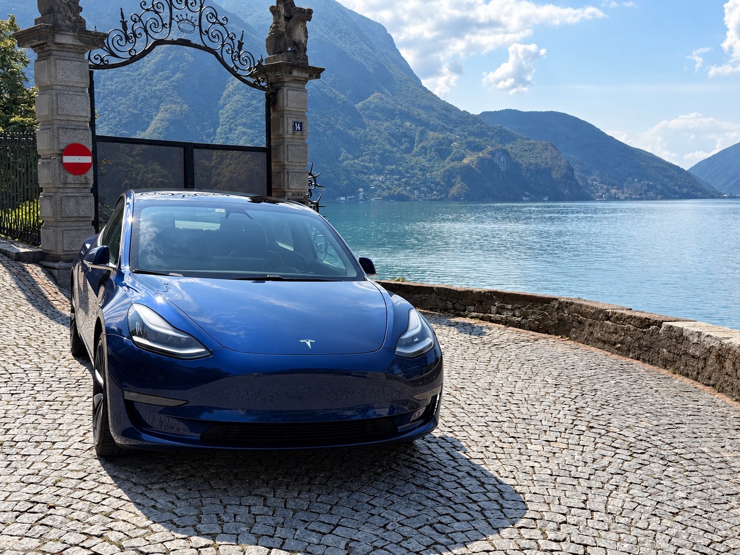 TESLA Performance D-image-0