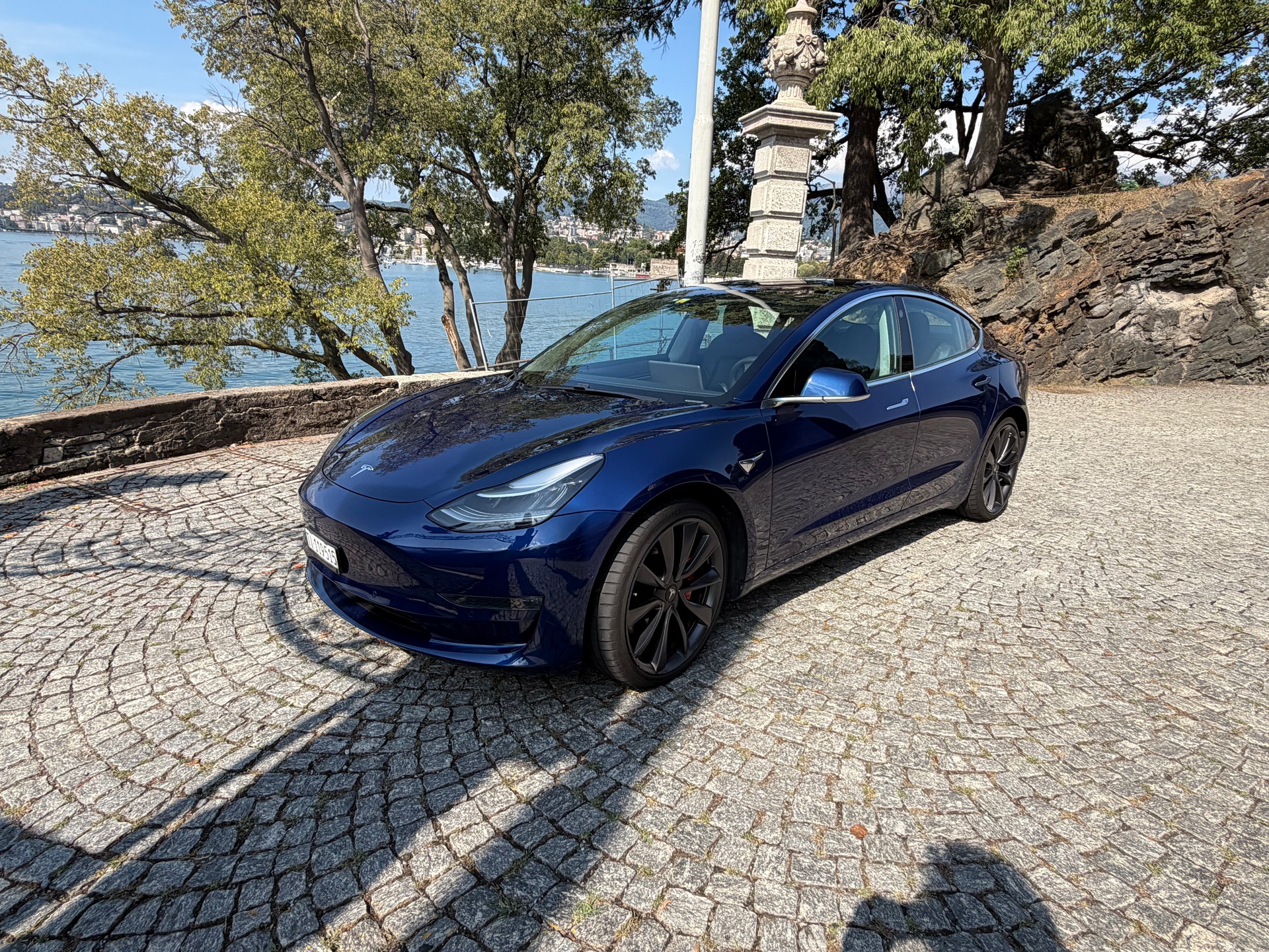 TESLA Performance D-image-3