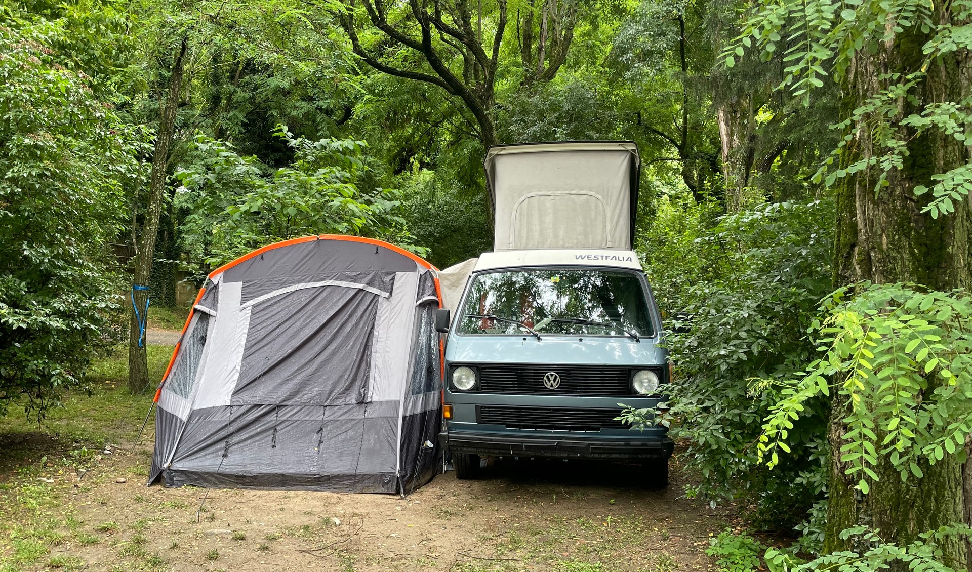 VW Multivan-image-4