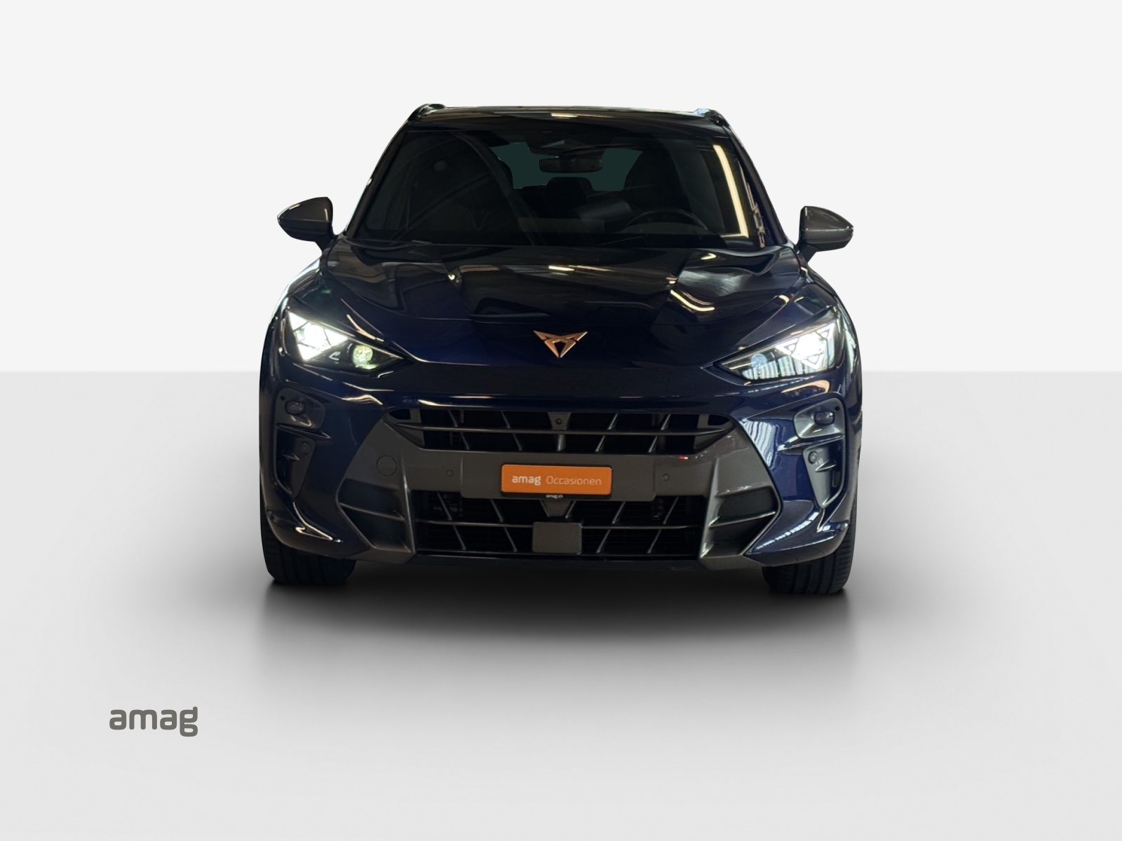 CUPRA Terramar 2.0 TSI DSG 4Drive VZ-image-6