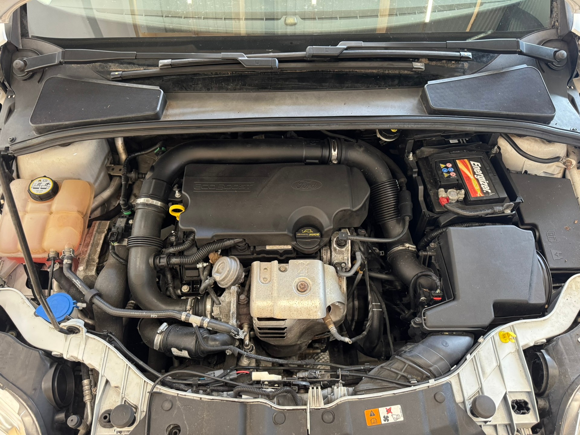 FORD Focus 1.0 SCTi Carving-image-18