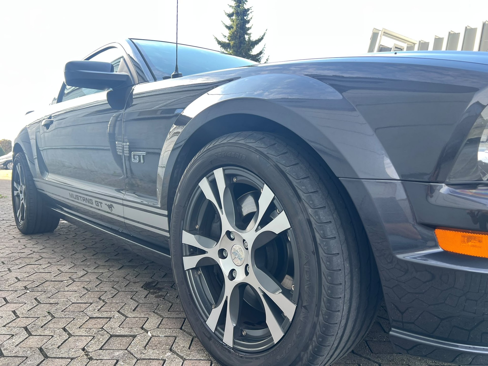 FORD MUSTANG GT-image-5