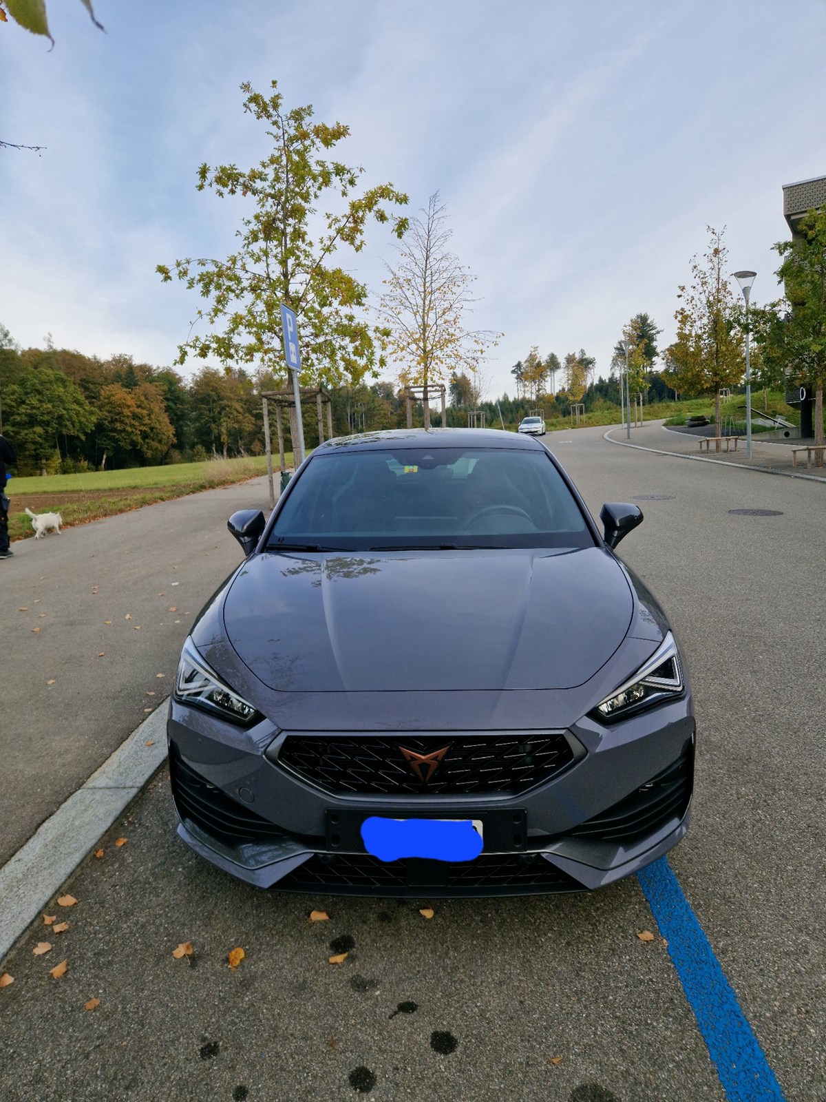 CUPRA LEON VZ 2.0 TSI DSG-image-0