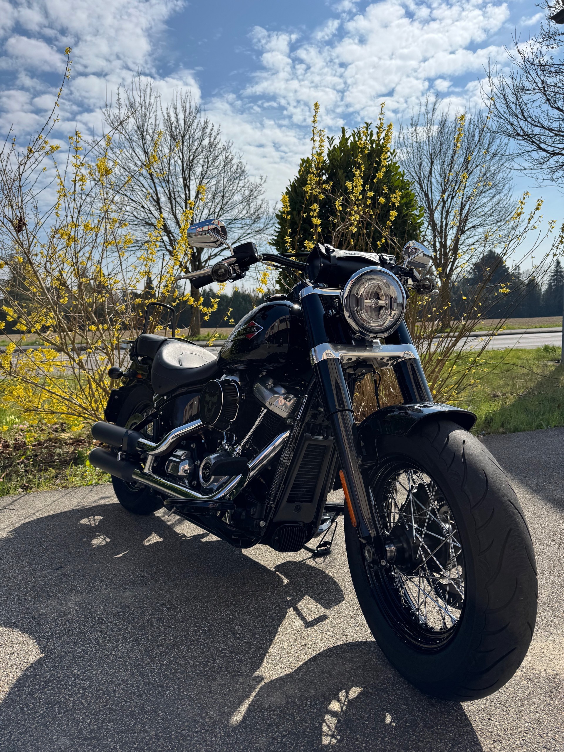 HARLEY-DAVIDSON FLSL Softail Slim 107 ABS-showroom-element-1