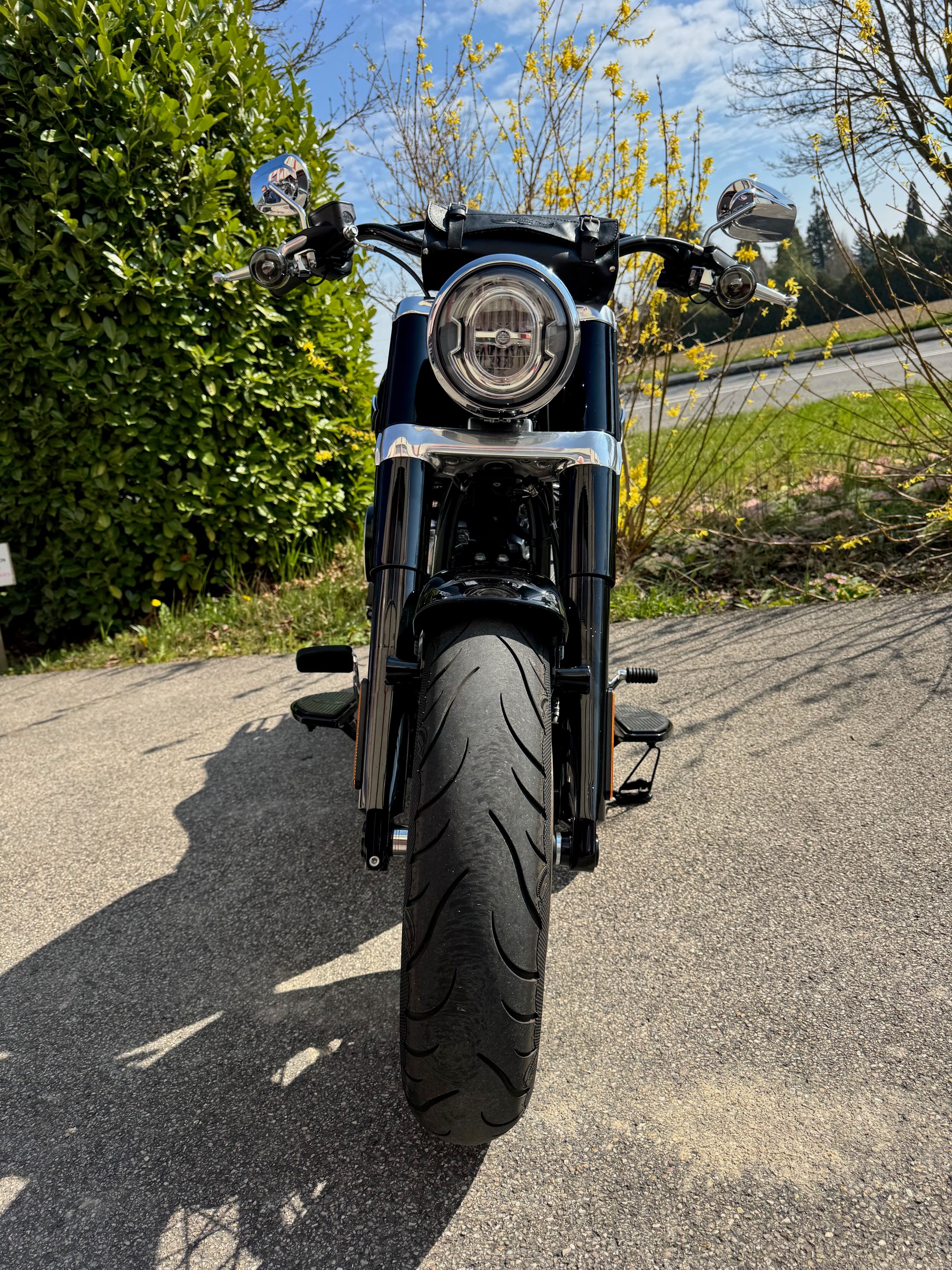 HARLEY-DAVIDSON FLSL Softail Slim 107 ABS-showroom-element-2