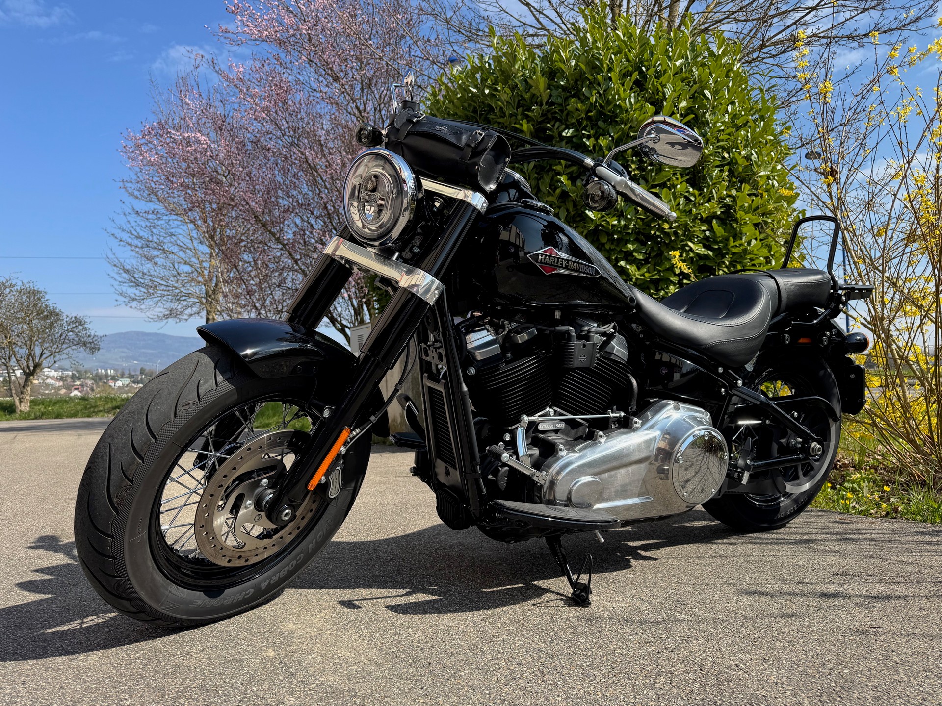 HARLEY-DAVIDSON FLSL Softail Slim 107 ABS-showroom-element-3