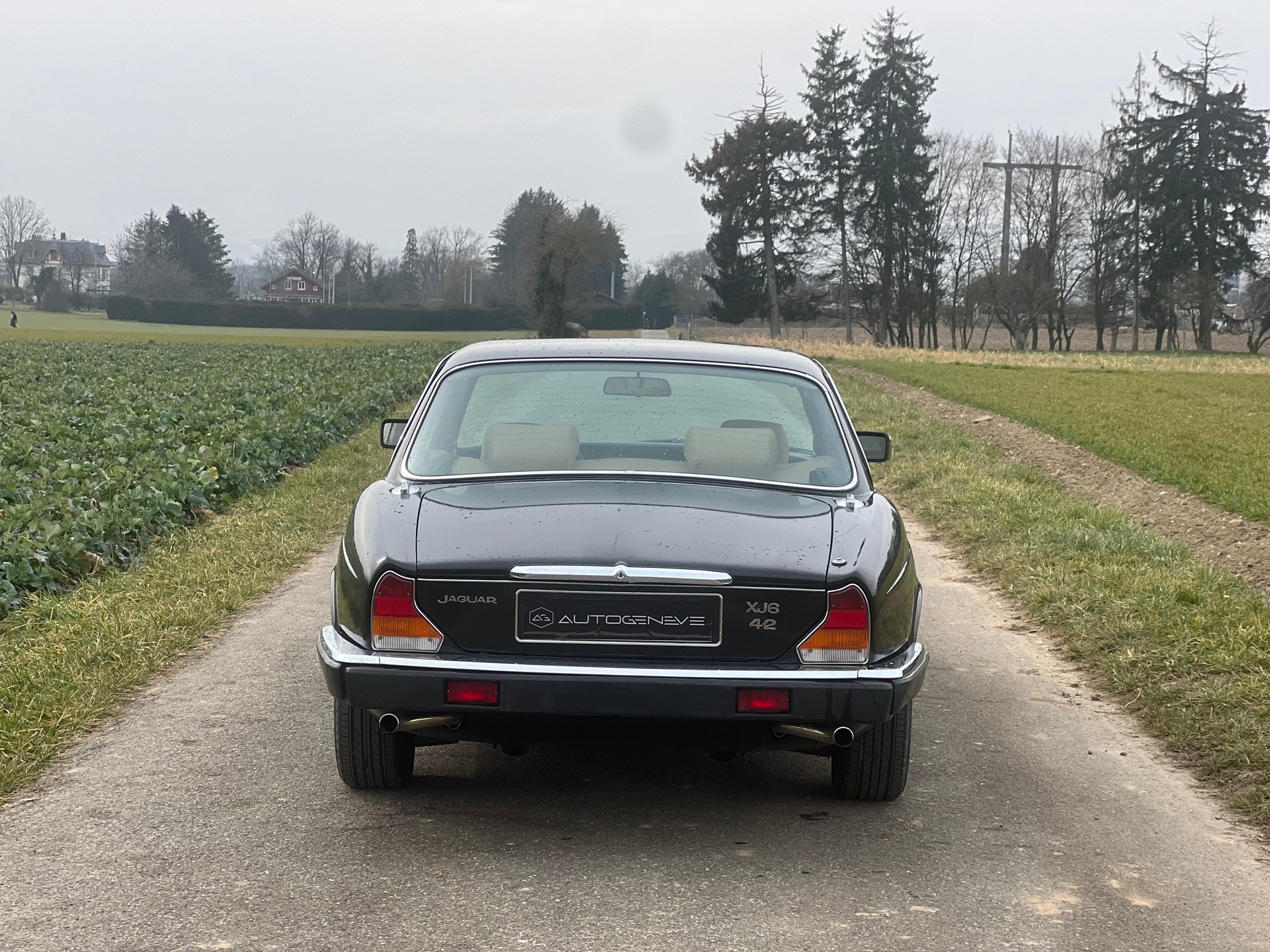 JAGUAR XJ6 4.2 Sovereign-image-4