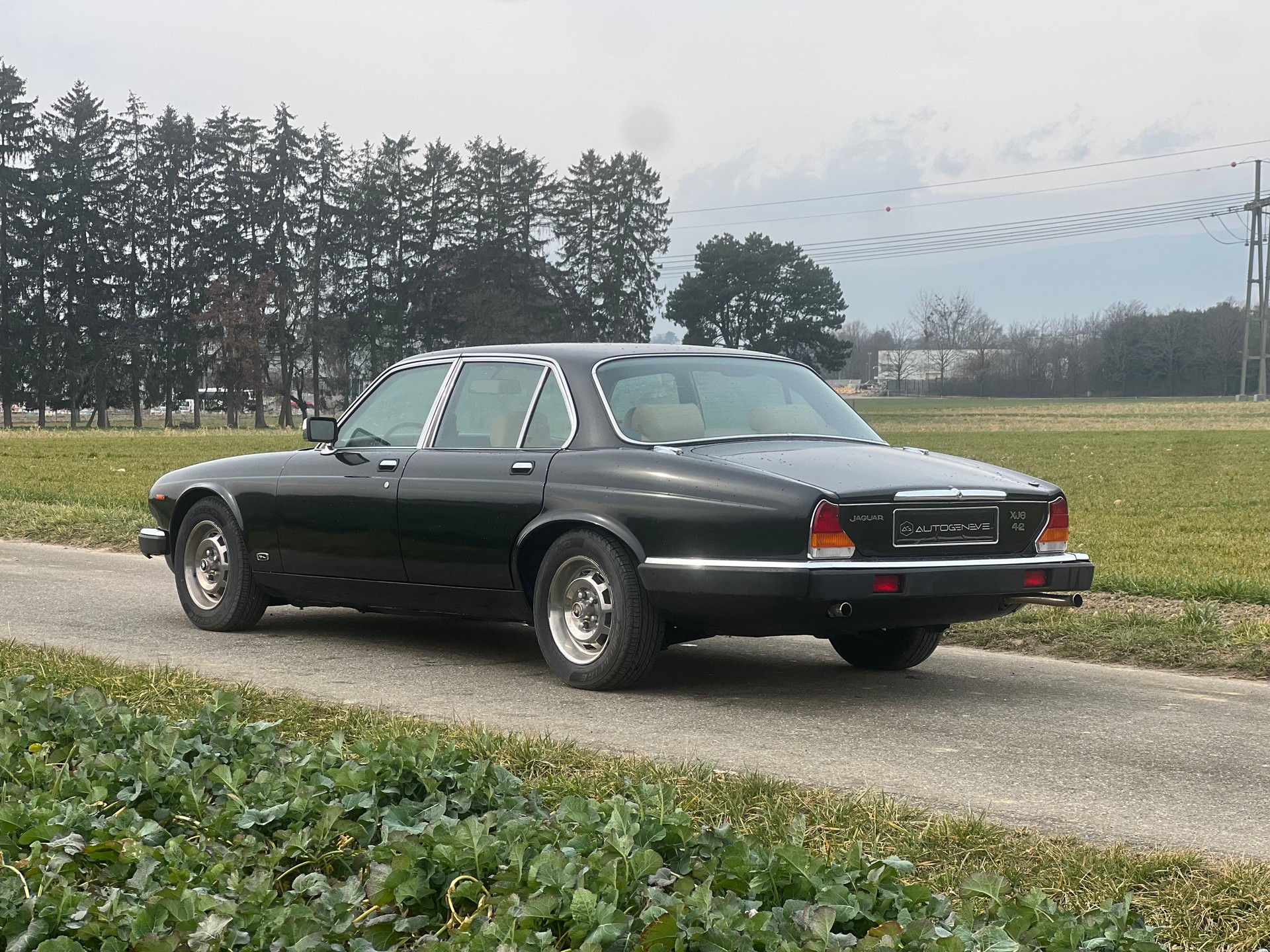 JAGUAR XJ6 4.2 Sovereign-image-5