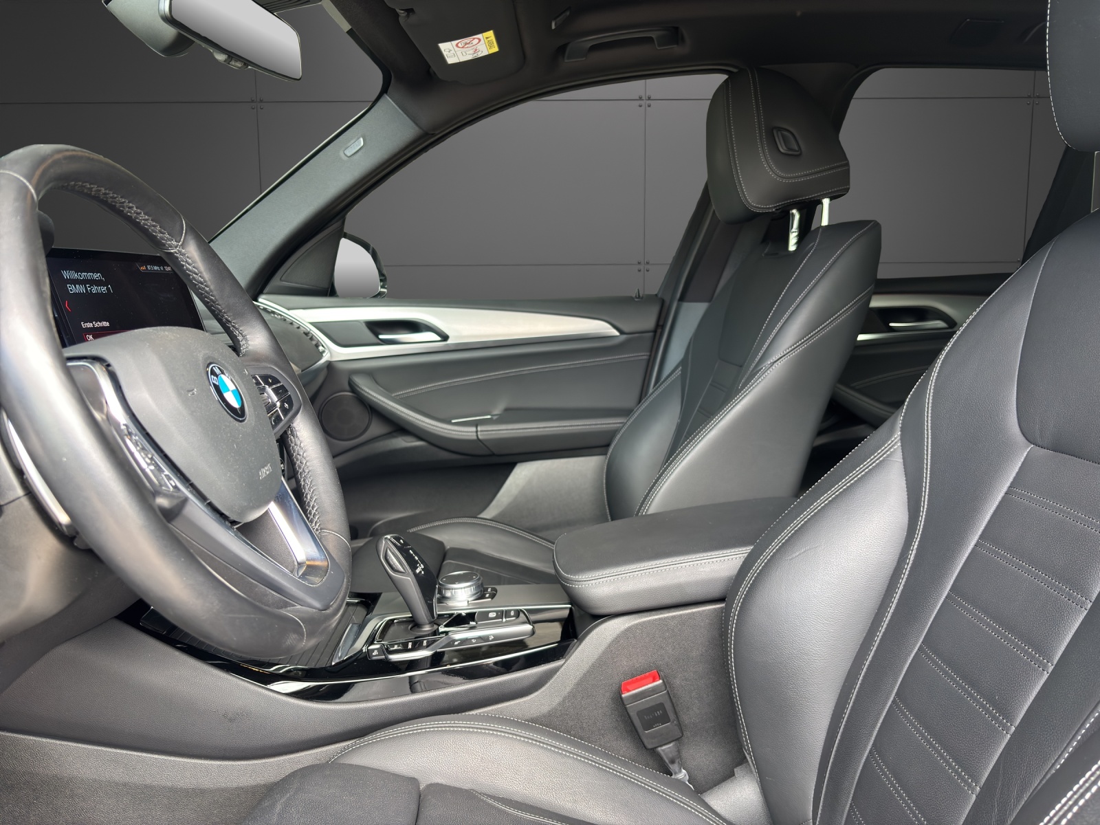 BMW X3 xDrive 20i xLine Steptronic-showroom-element-2