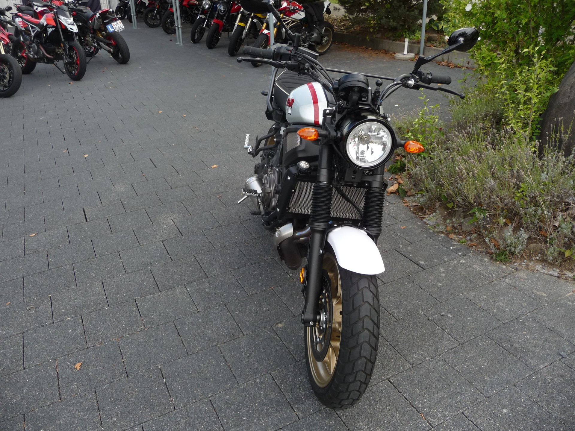 YAMAHA XSR 700 XTribute-showroom-element-2