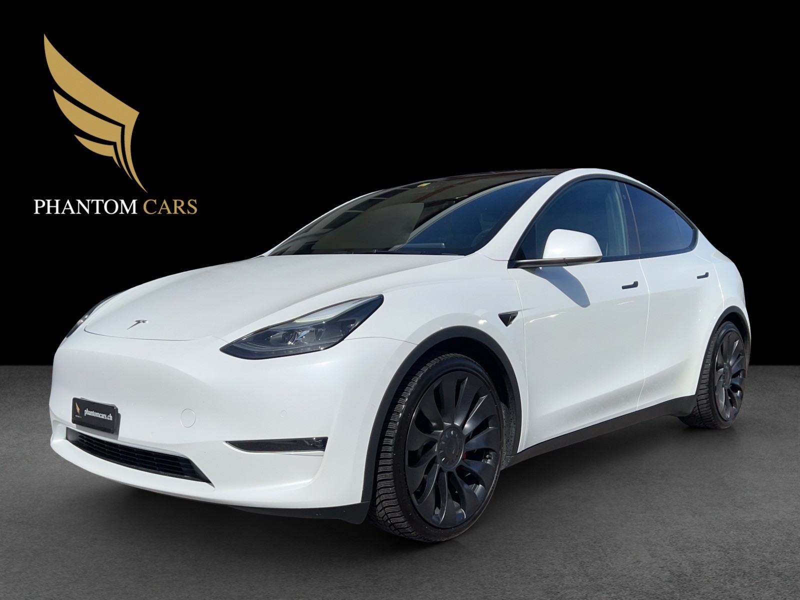 TESLA Model Y Performance-image-3