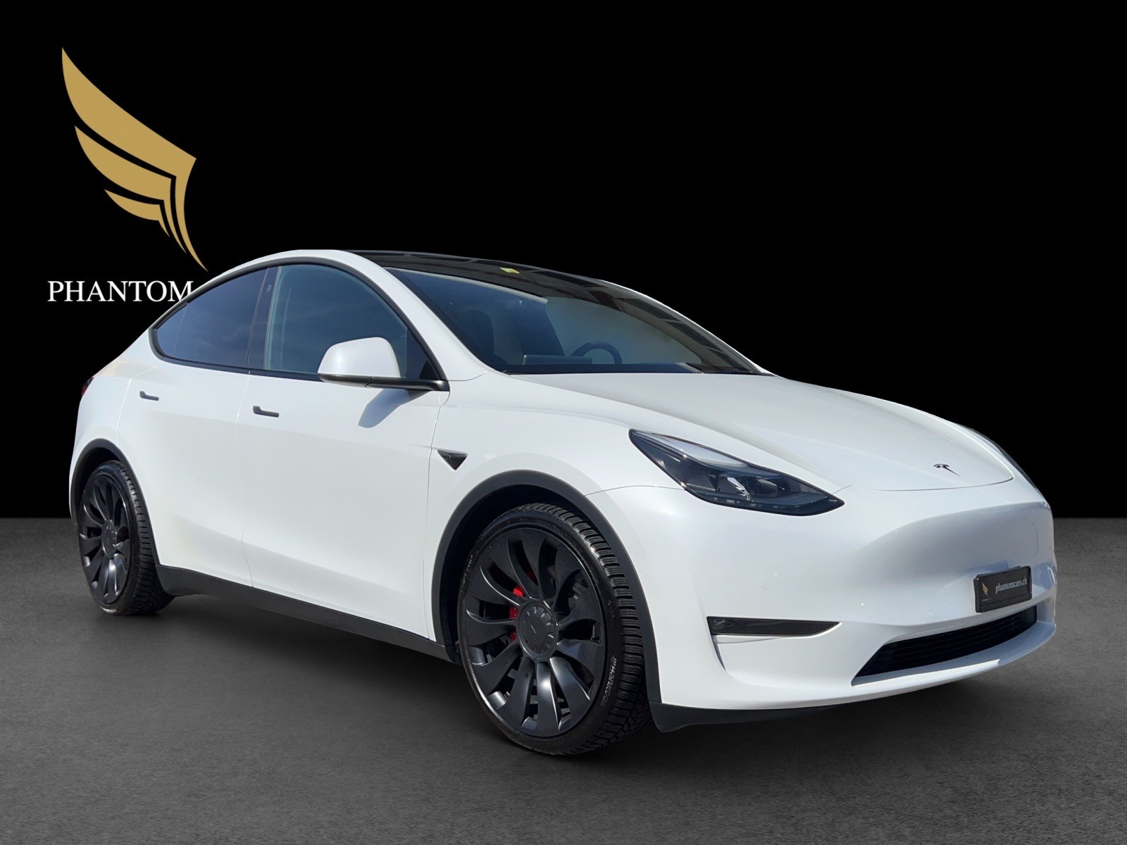 TESLA Model Y Performance-image-1