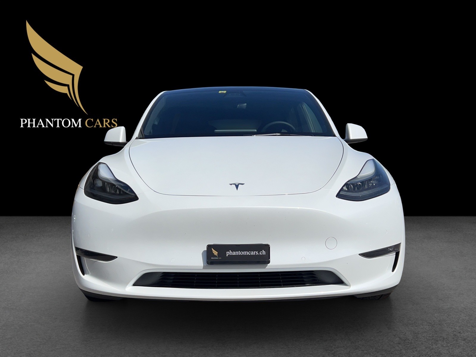 TESLA Model Y Performance-image-2
