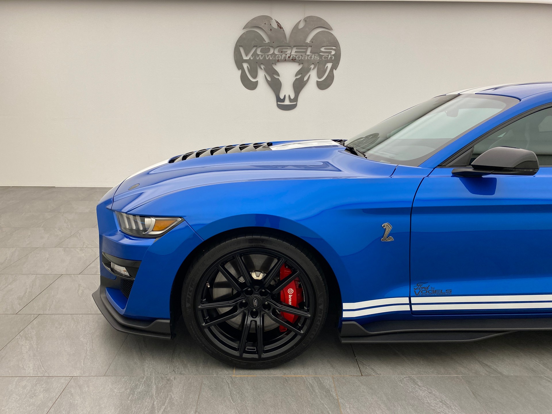 FORD Mustang GT500 Shelby-image-6