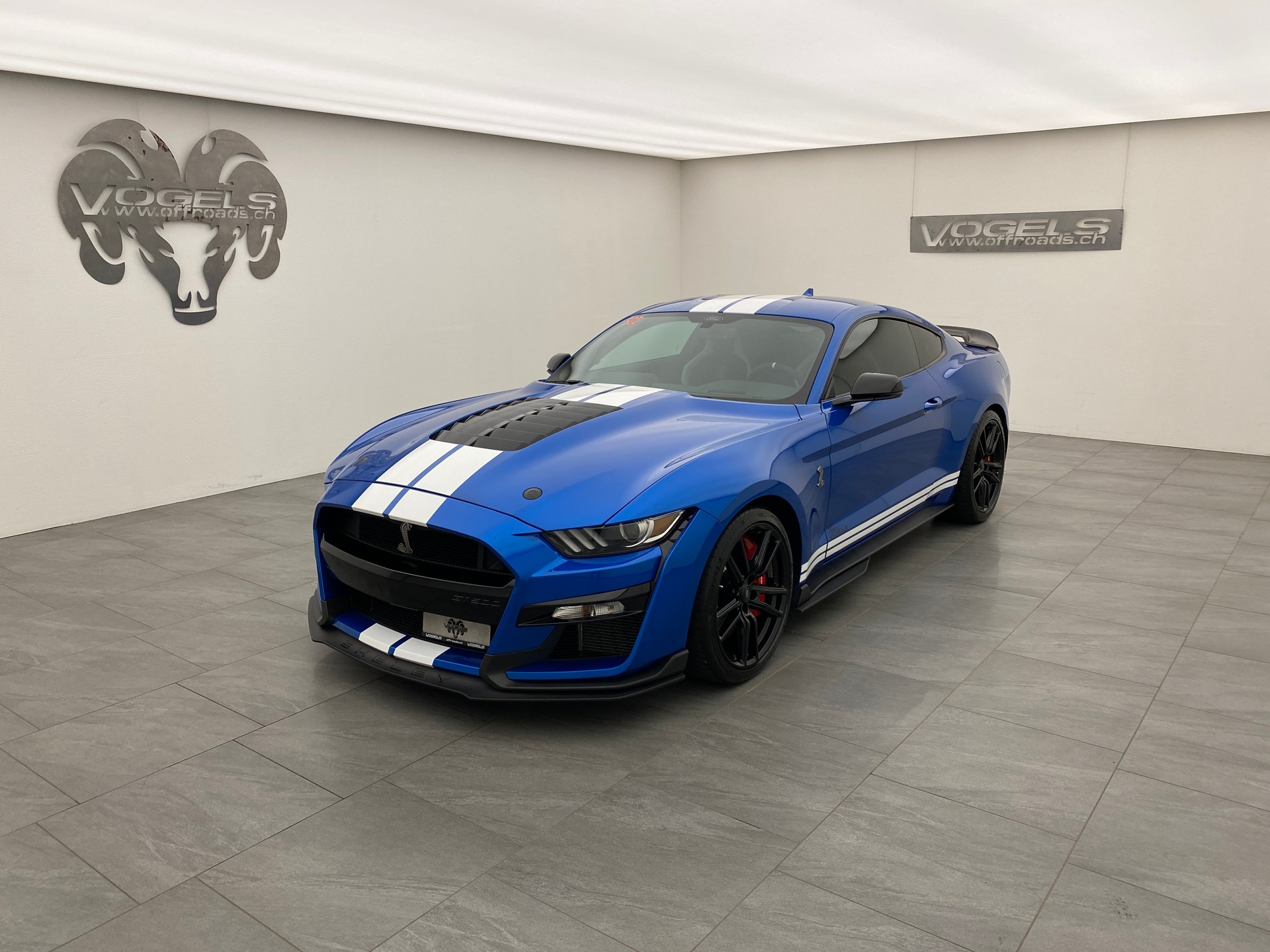 FORD Mustang GT500 Shelby-image-0