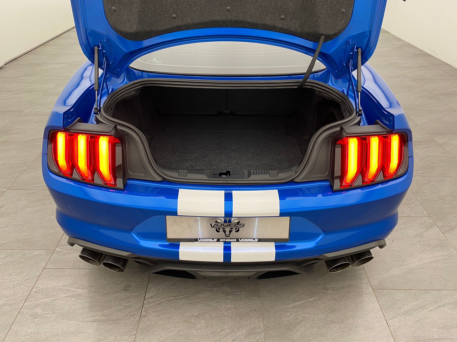 FORD Mustang GT500 Shelby-image-15