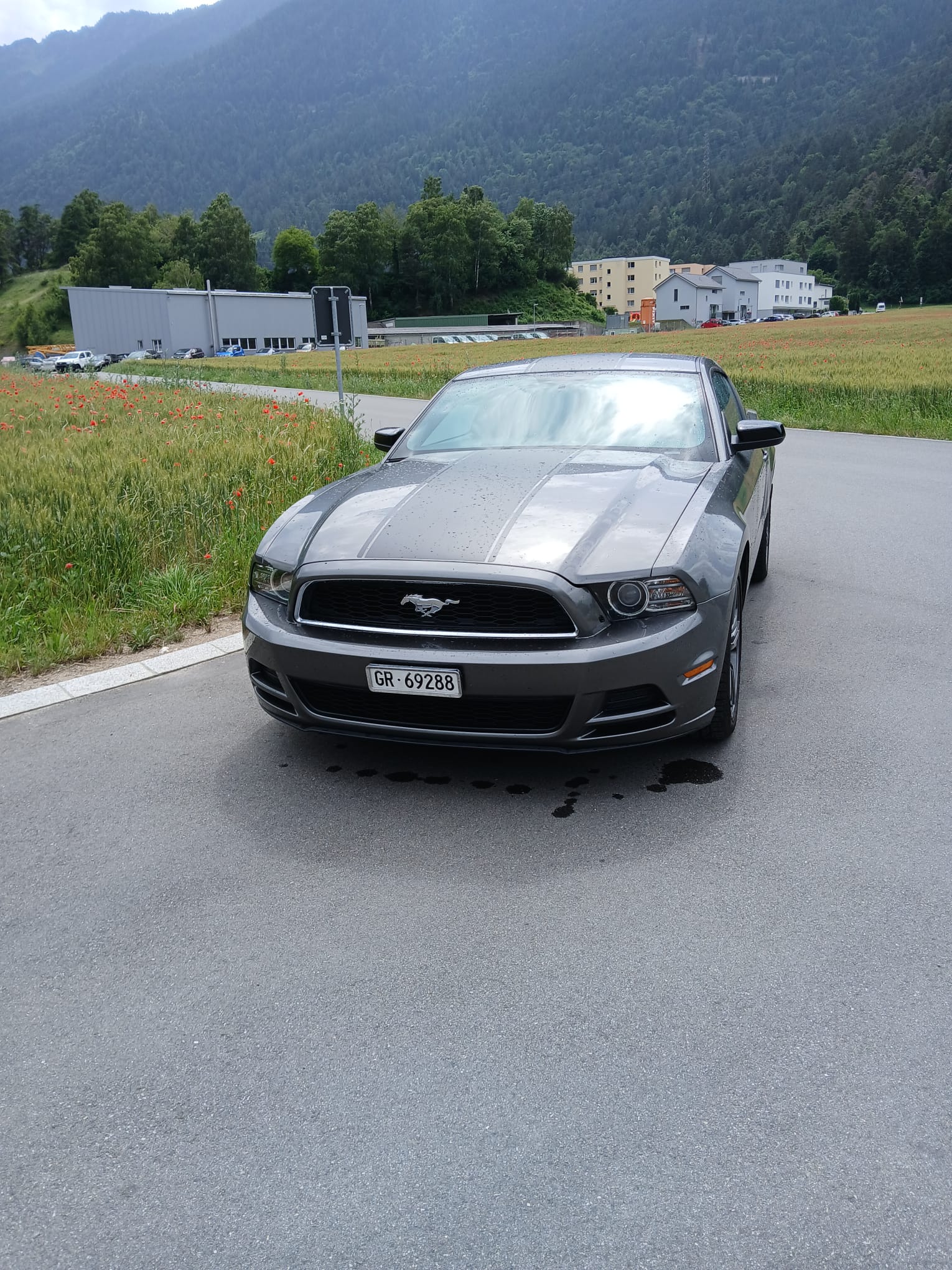 FORD MUSTANG-image-1