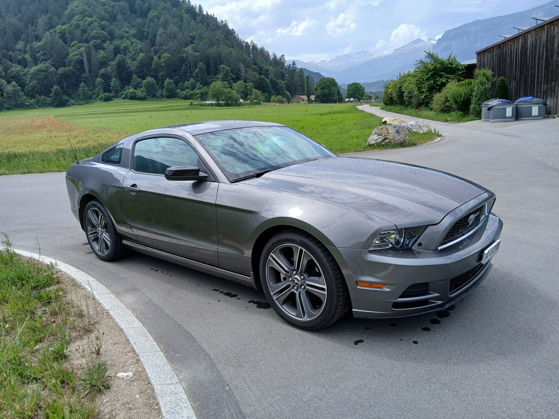 FORD MUSTANG
