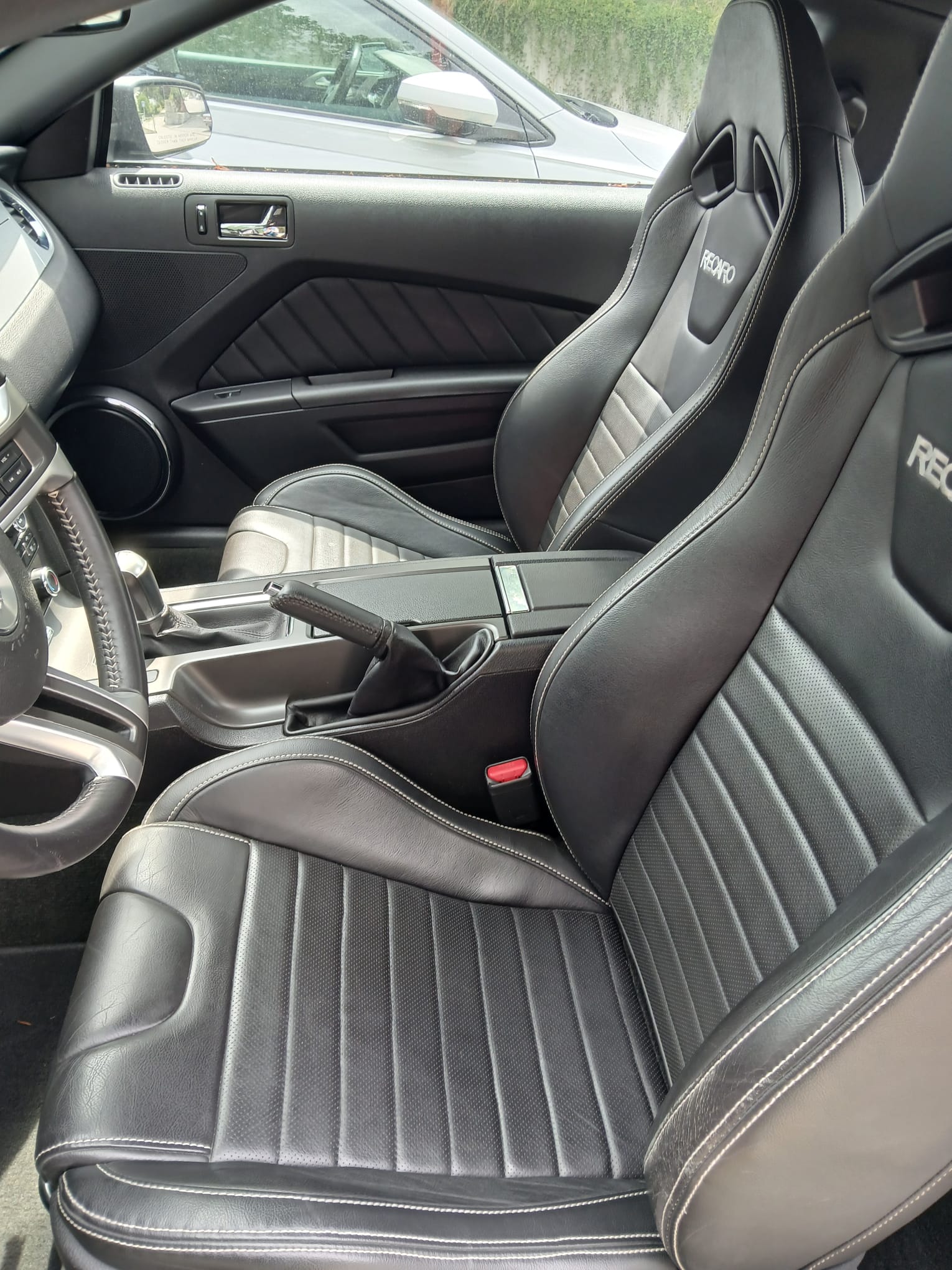 FORD MUSTANG-image-6