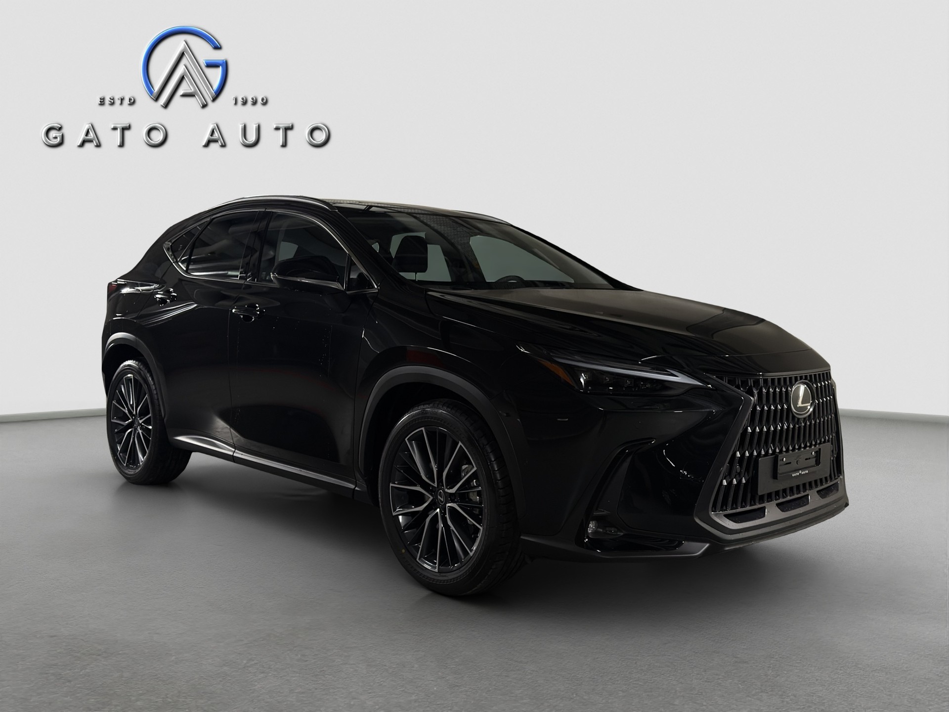 LEXUS NX 450h+ E-FOUR Excellence-image-0
