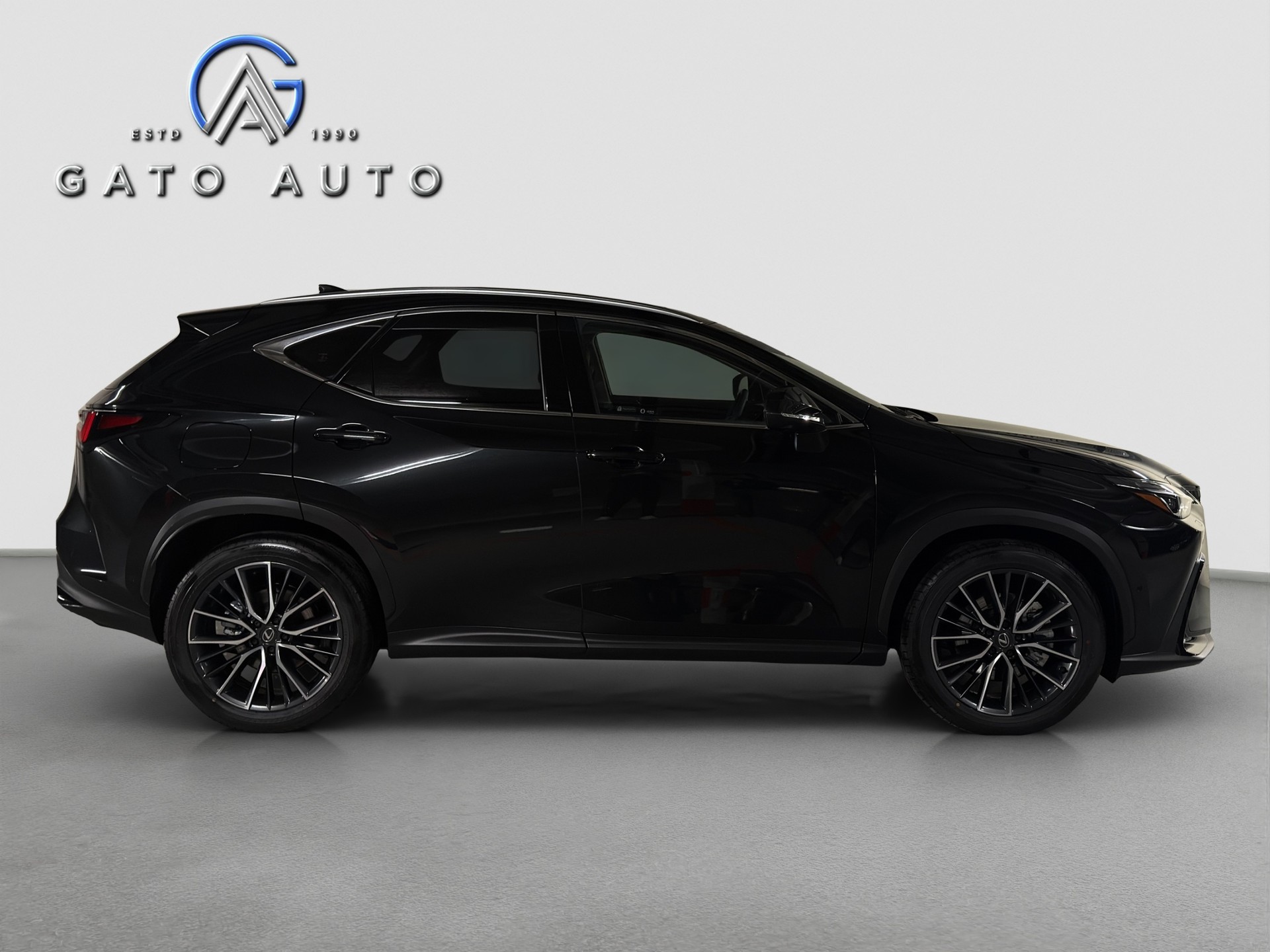 LEXUS NX 450h+ E-FOUR Excellence-image-1