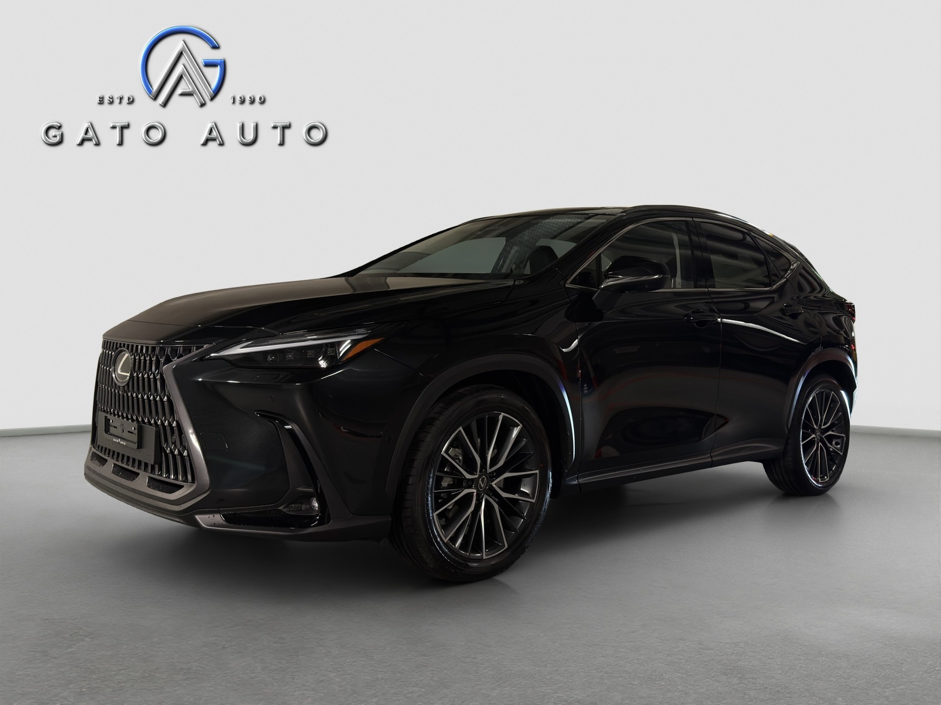 LEXUS NX 450h+ E-FOUR Excellence-image-6
