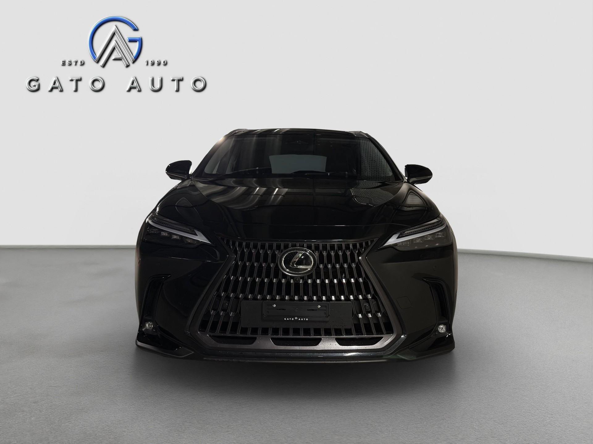 LEXUS NX 450h+ E-FOUR Excellence-image-7