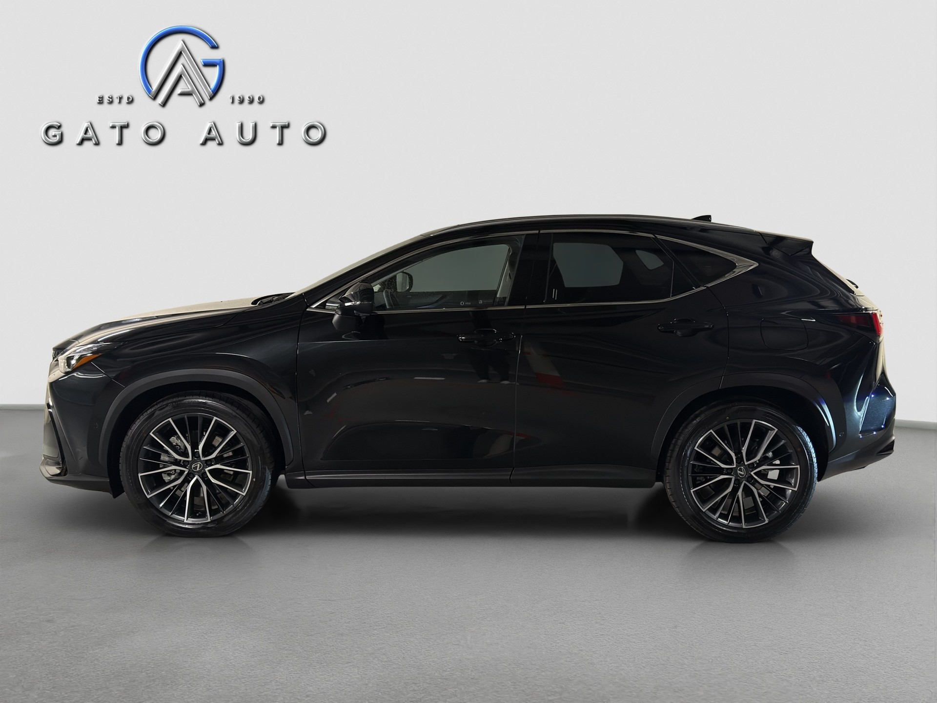LEXUS NX 450h+ E-FOUR Excellence-image-5