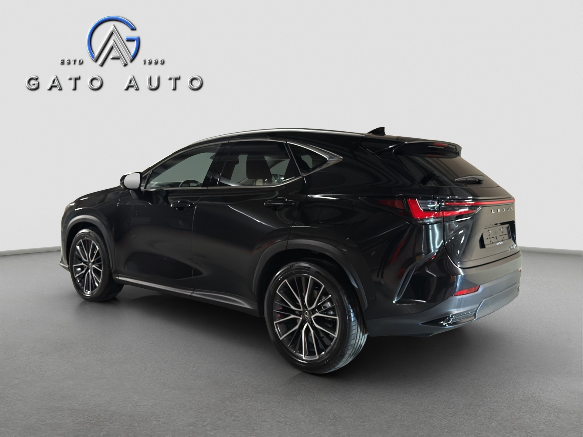 LEXUS NX 450h+ E-FOUR Excellence-image-3