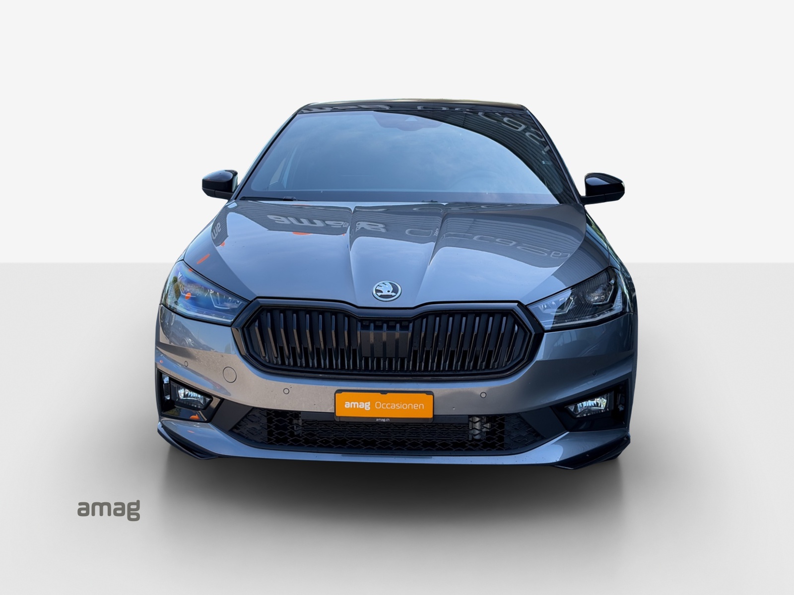 SKODA Fabia 1.0 TSI Monte Carlo DSG-image-6