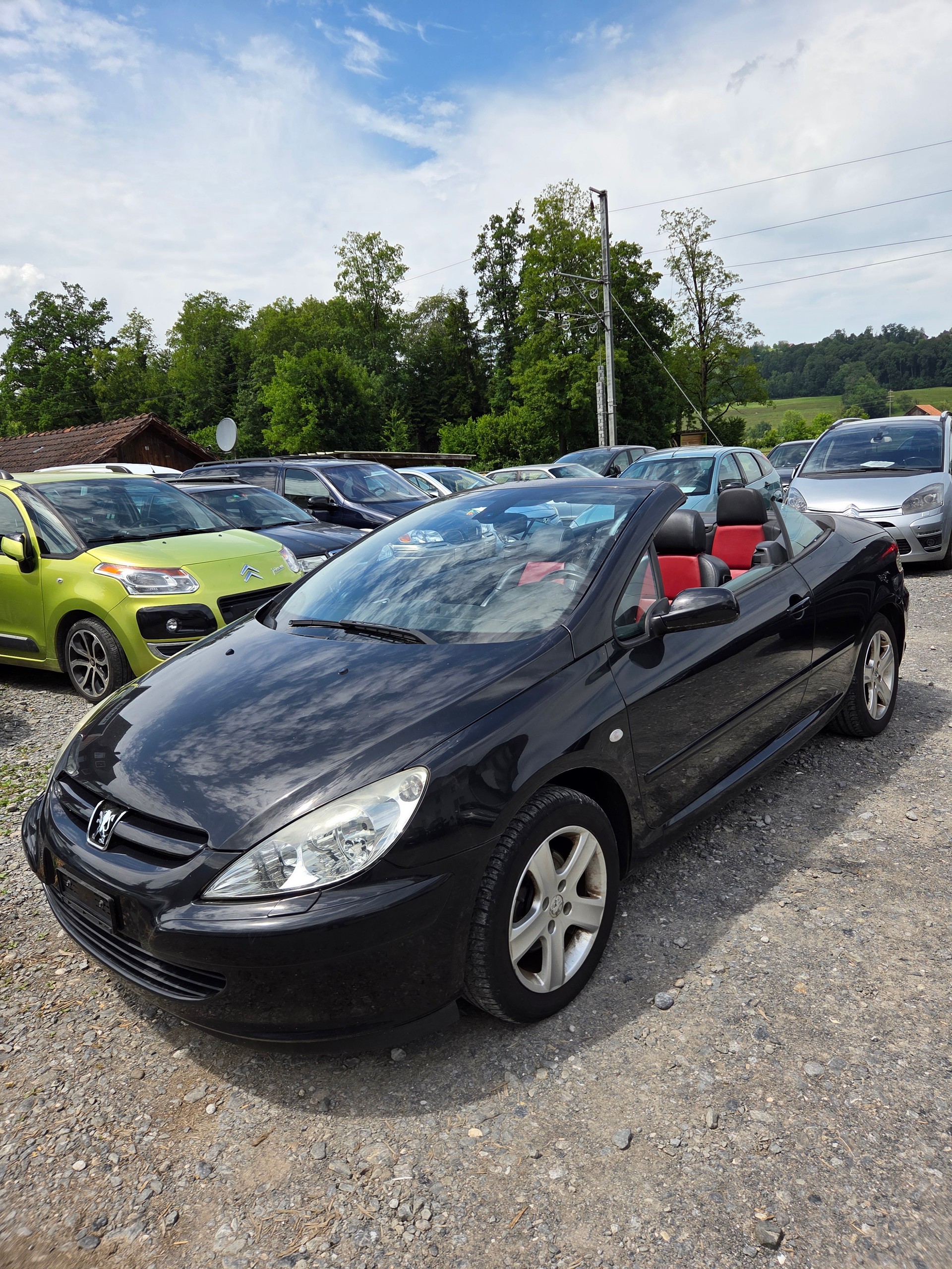 PEUGEOT 307-image-0