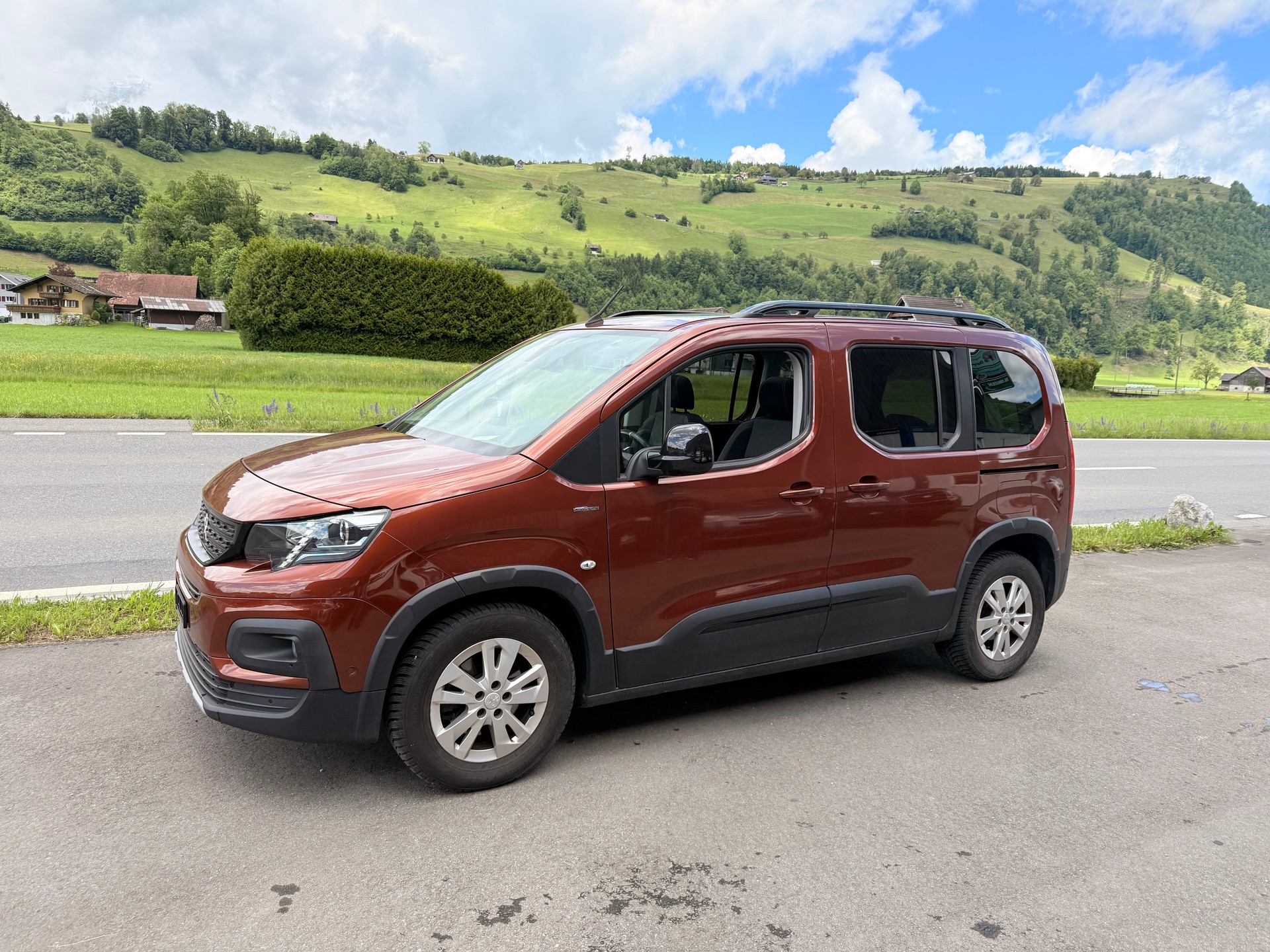 PEUGEOT RIFTER-image-6