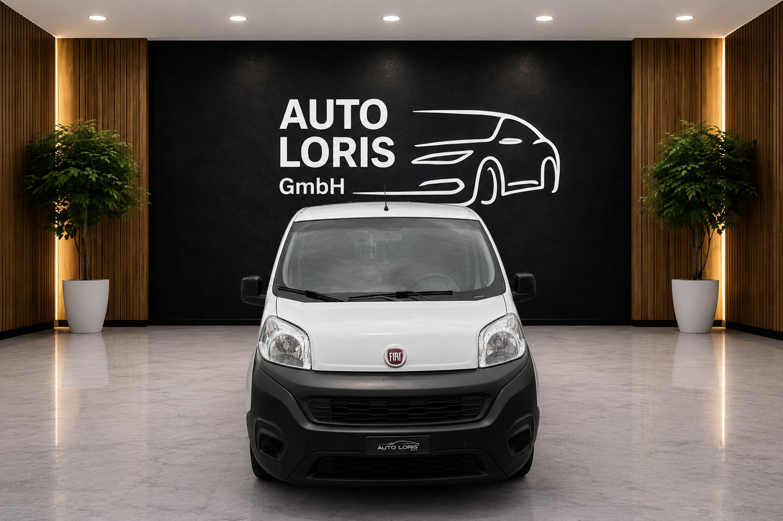 FIAT Fiorino 1.3 MJ Swiss-image-2