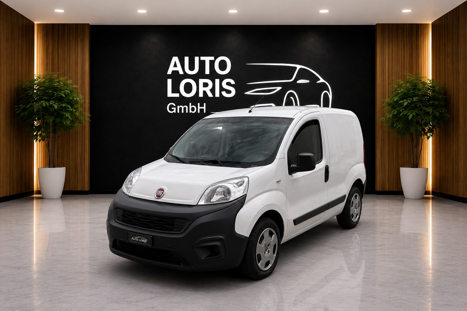 FIAT Fiorino 1.3 MJ Swiss-image-0