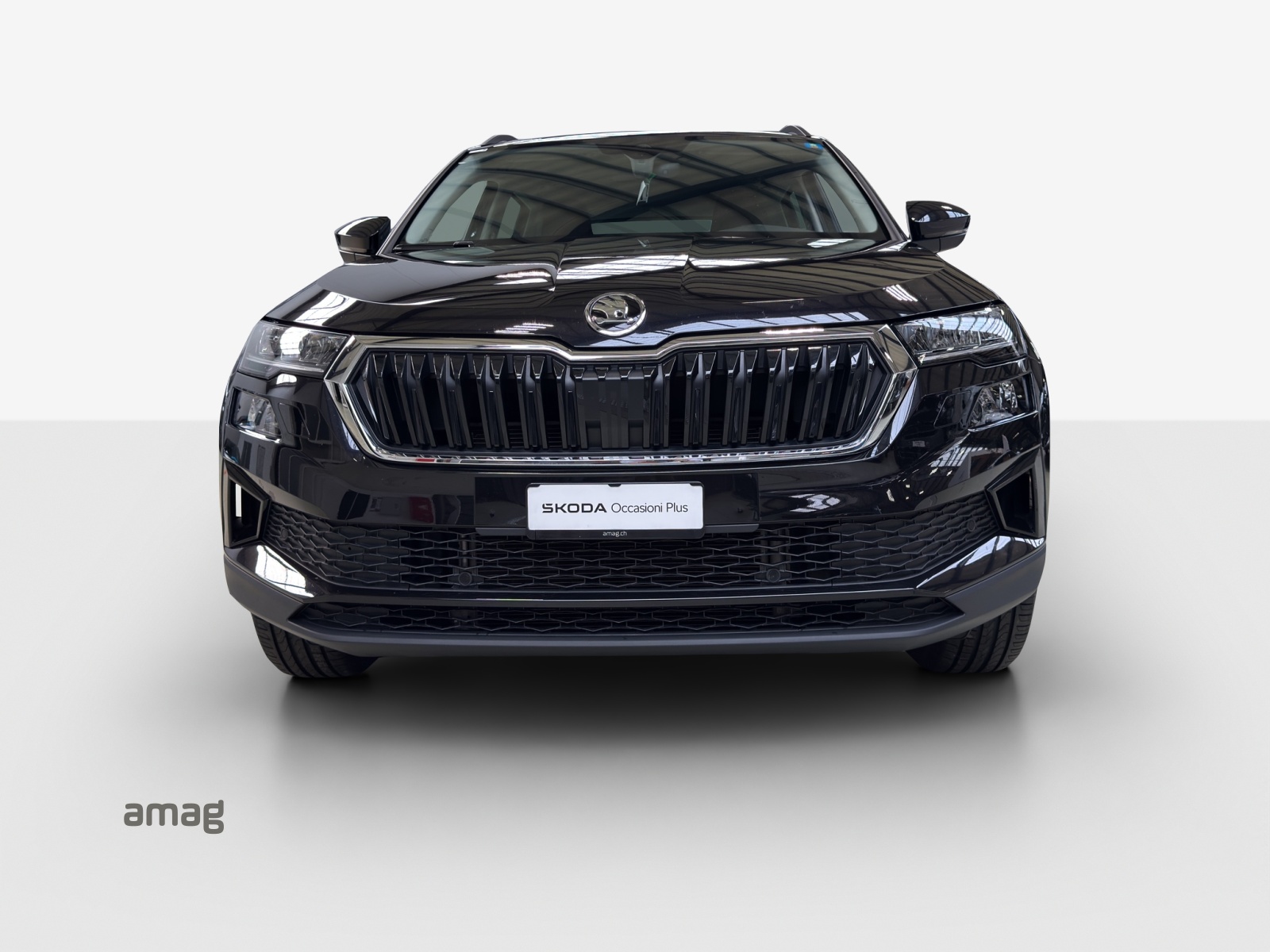 SKODA Karoq 2.0 TDI CR Tour 4x4 DSG-image-6