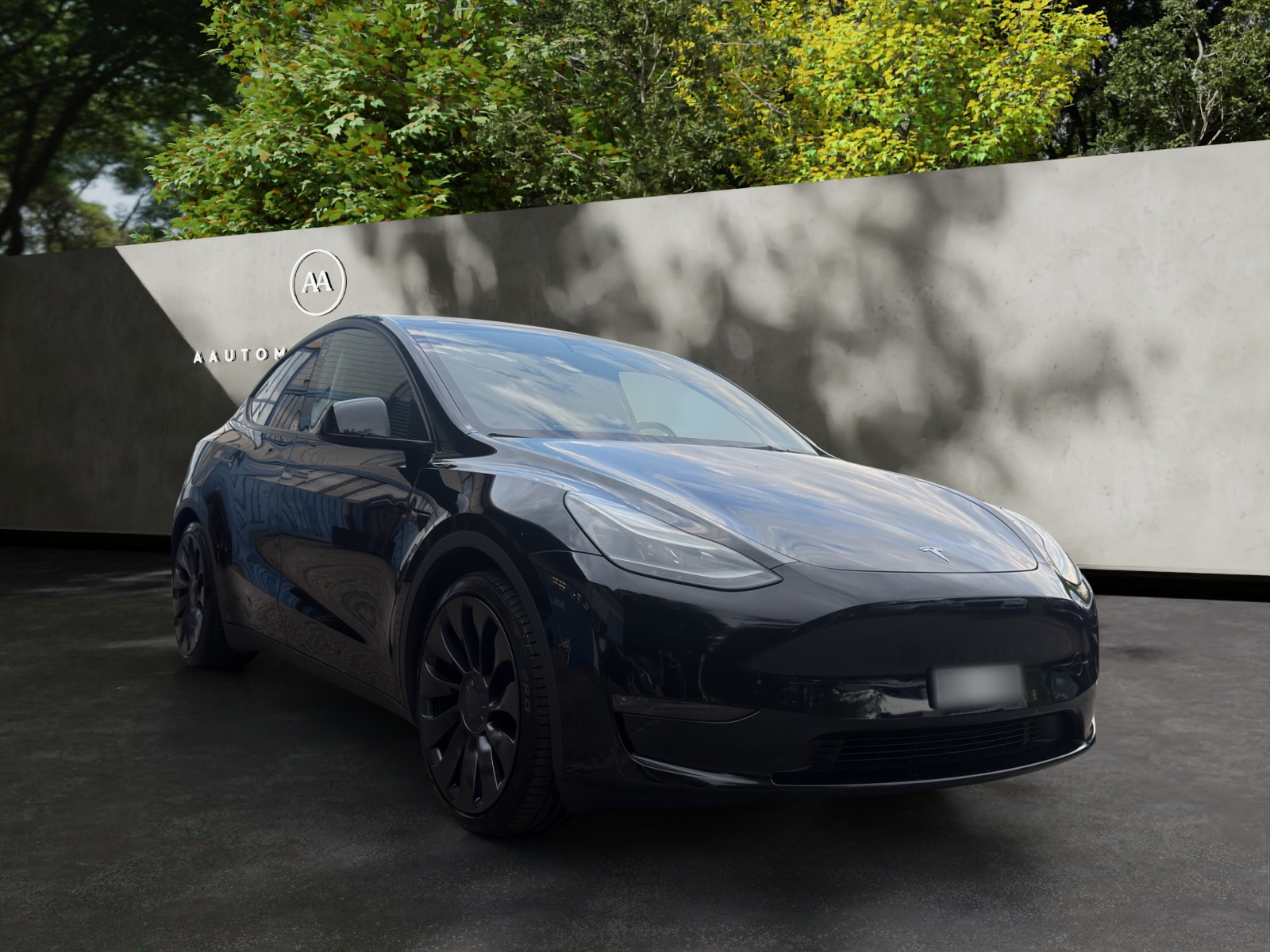 TESLA Model Y Performance-image-7