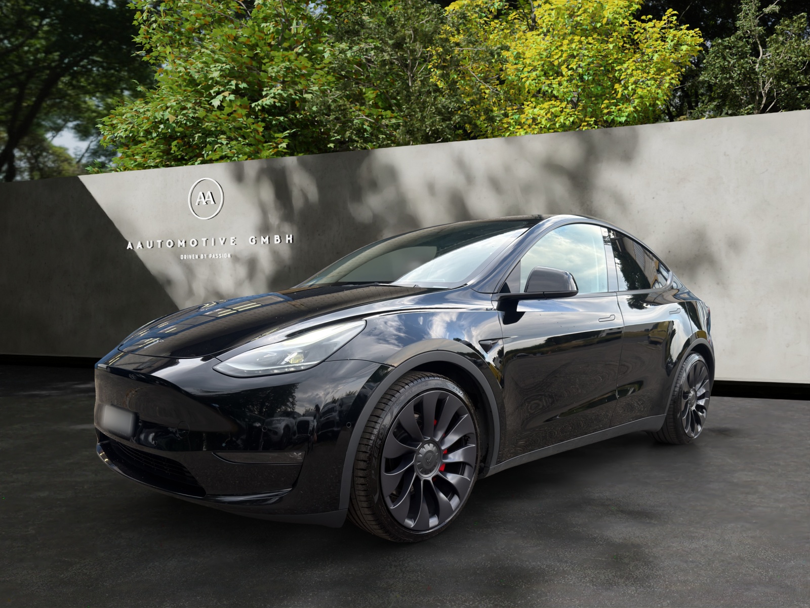 TESLA Model Y Performance