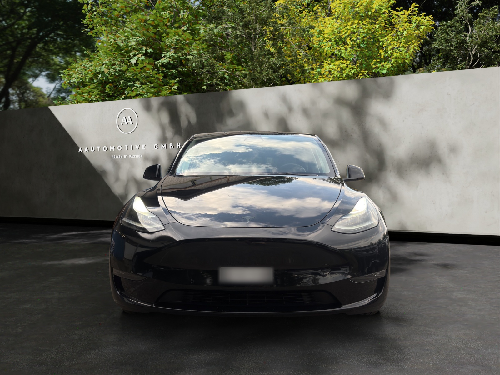 TESLA Model Y Performance-showroom-element-1