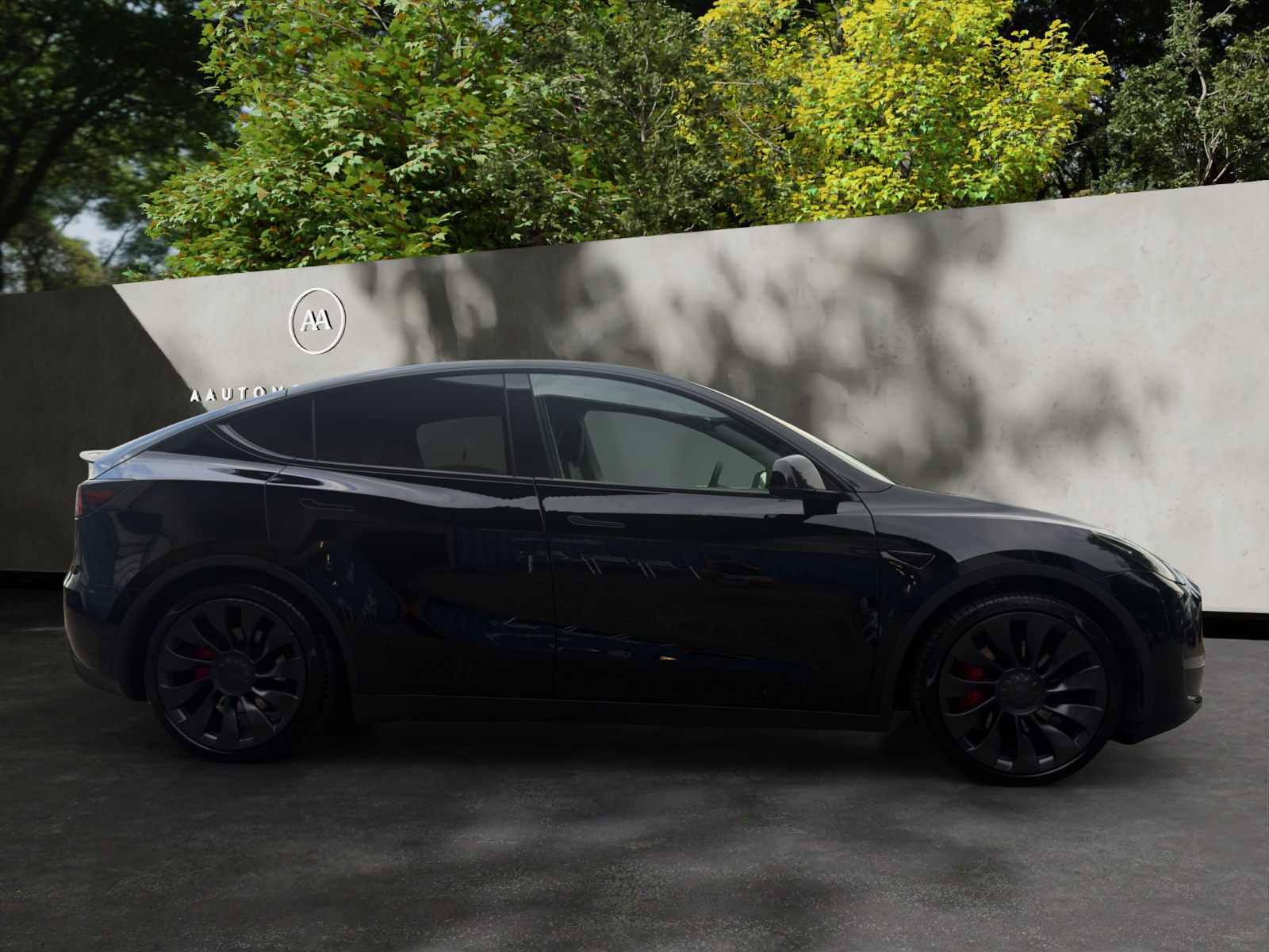 TESLA Model Y Performance-image-6