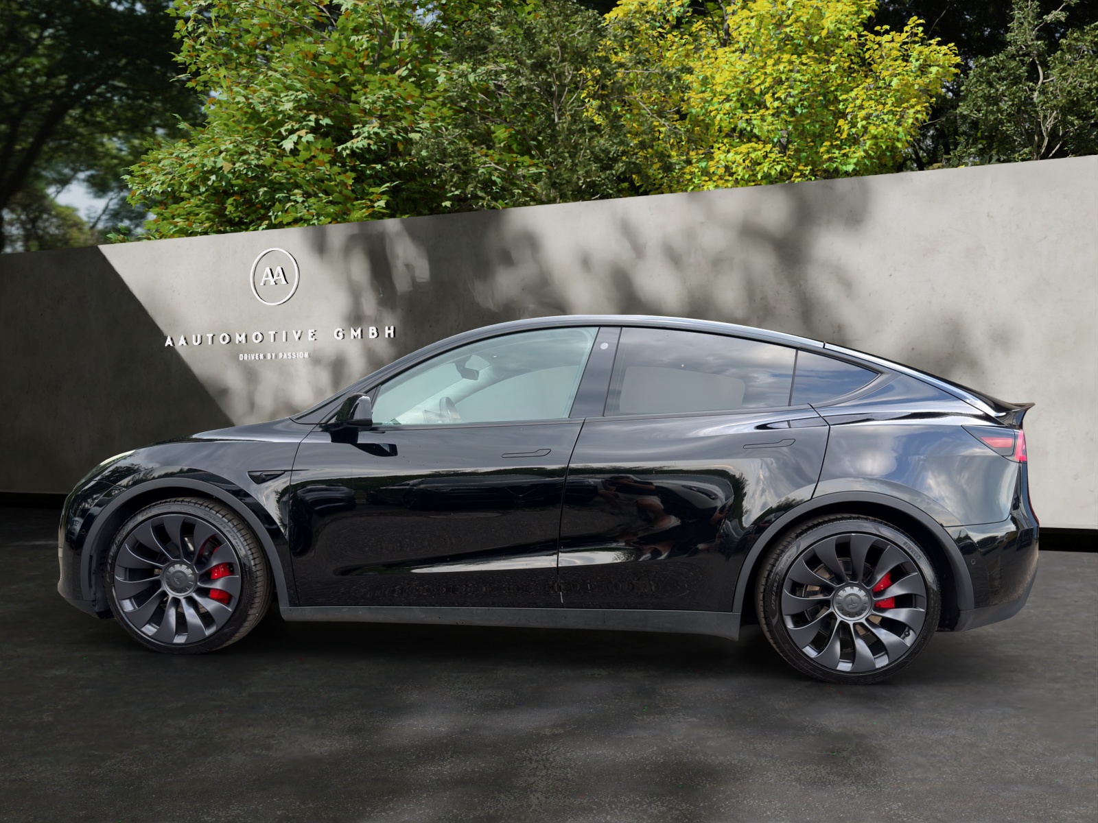 TESLA Model Y Performance-showroom-element-2
