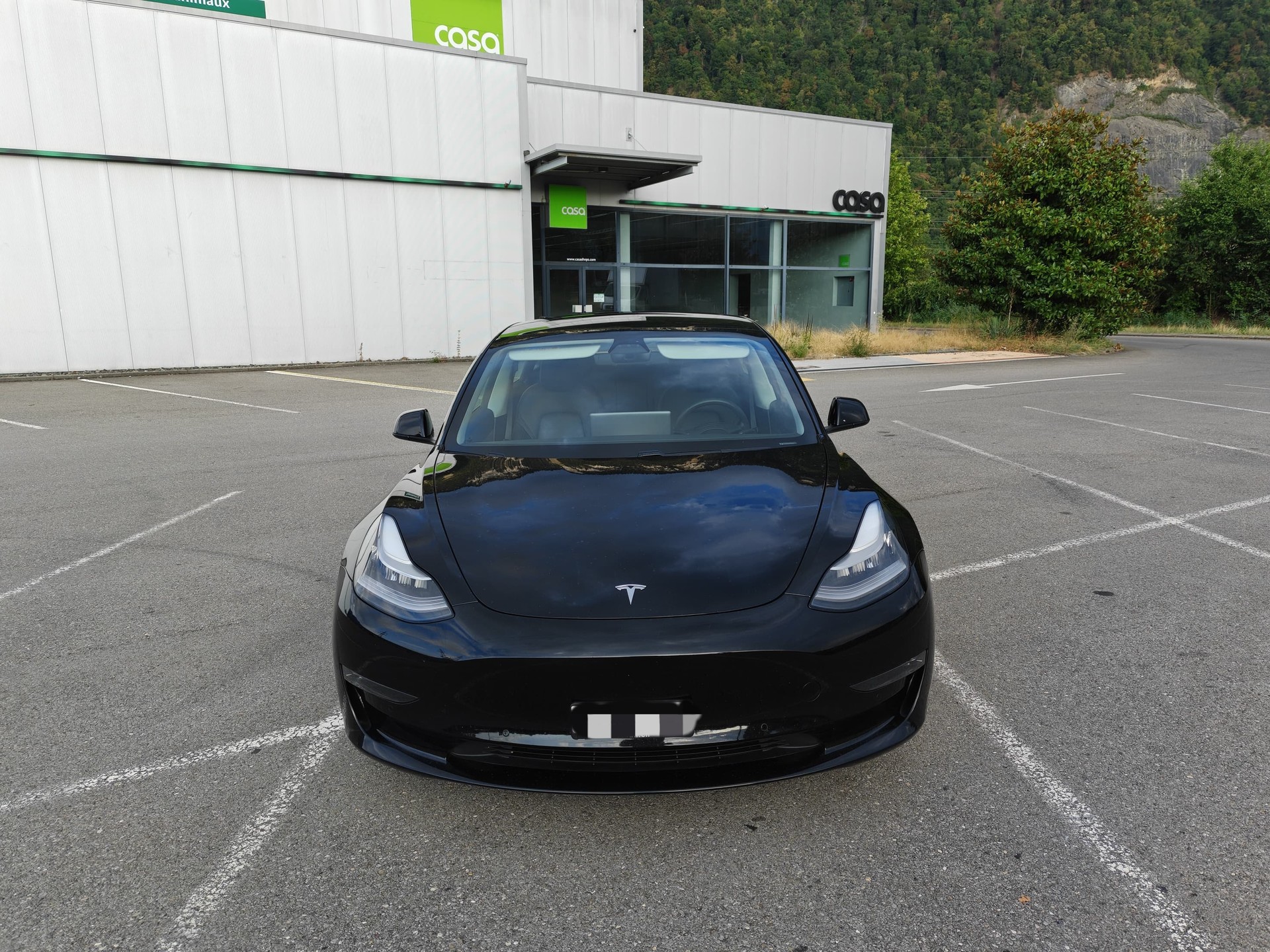TESLA Long Range Dual motors-image-0