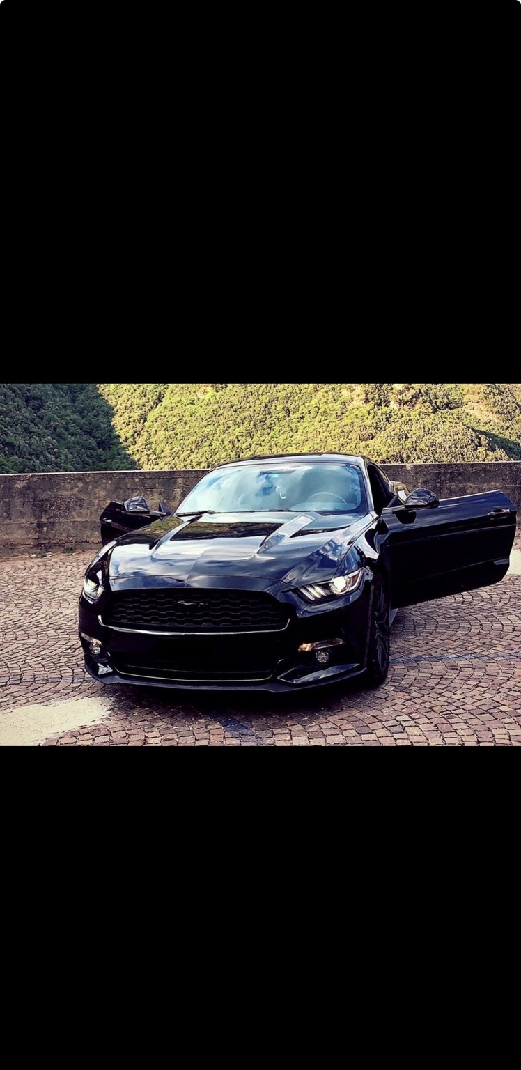 FORD Mustang Fastback 2.3-image-1