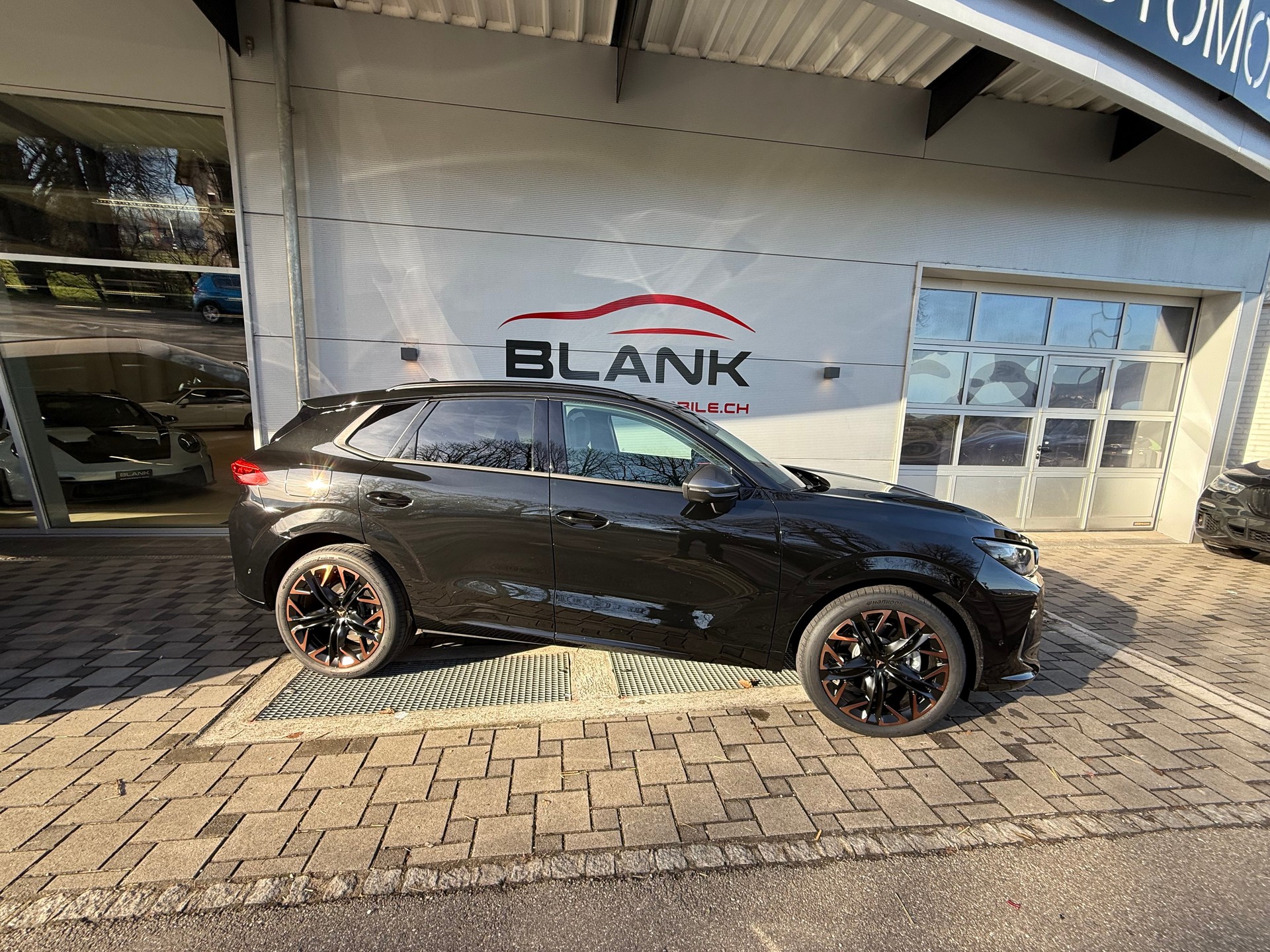 CUPRA Terramar 2.0 TSI DSG 4Drive / VENDUE VERKAUFT-image-2