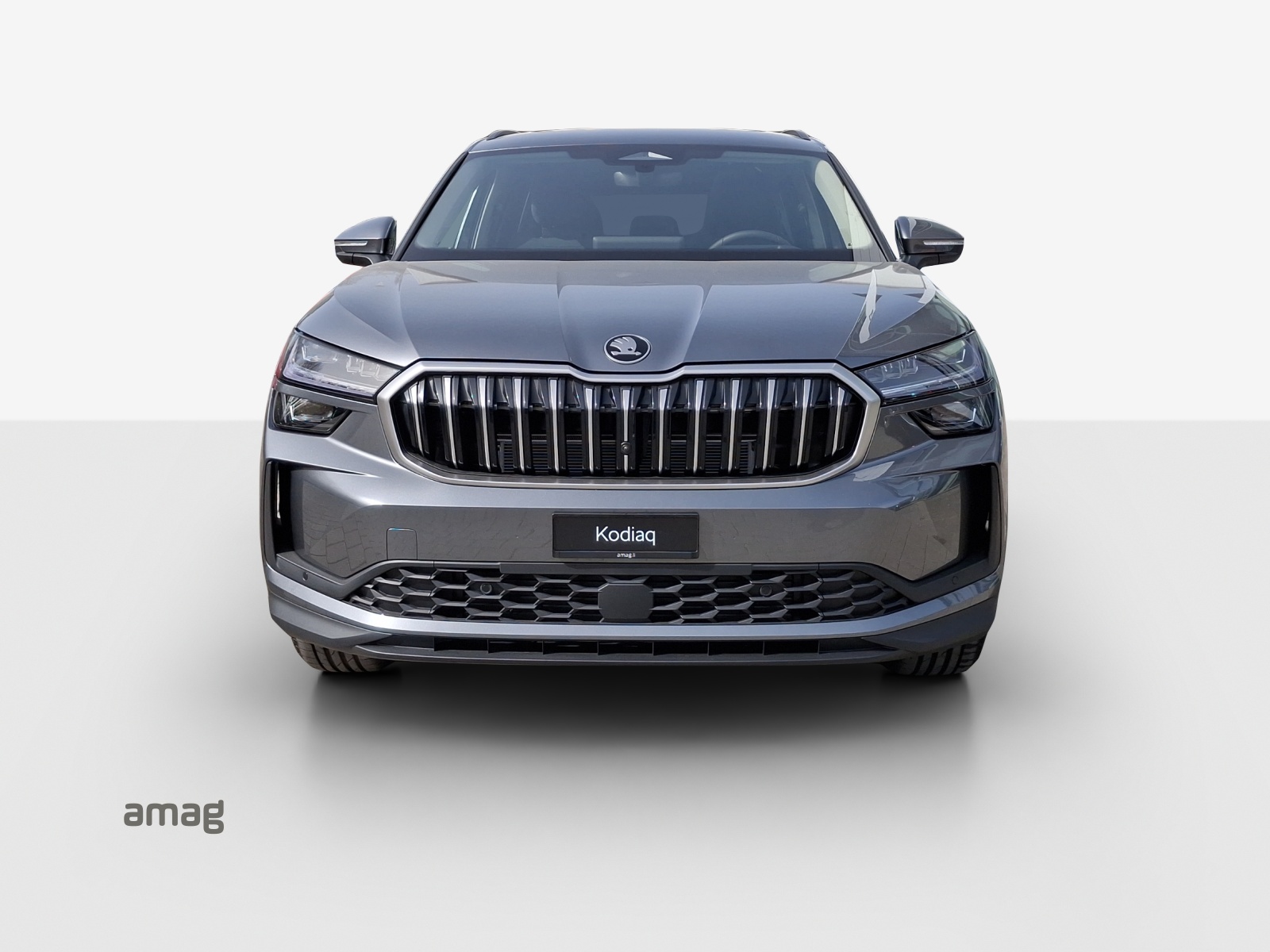 SKODA Kodiaq 2.0 TSI Dynamic 4x4-image-6