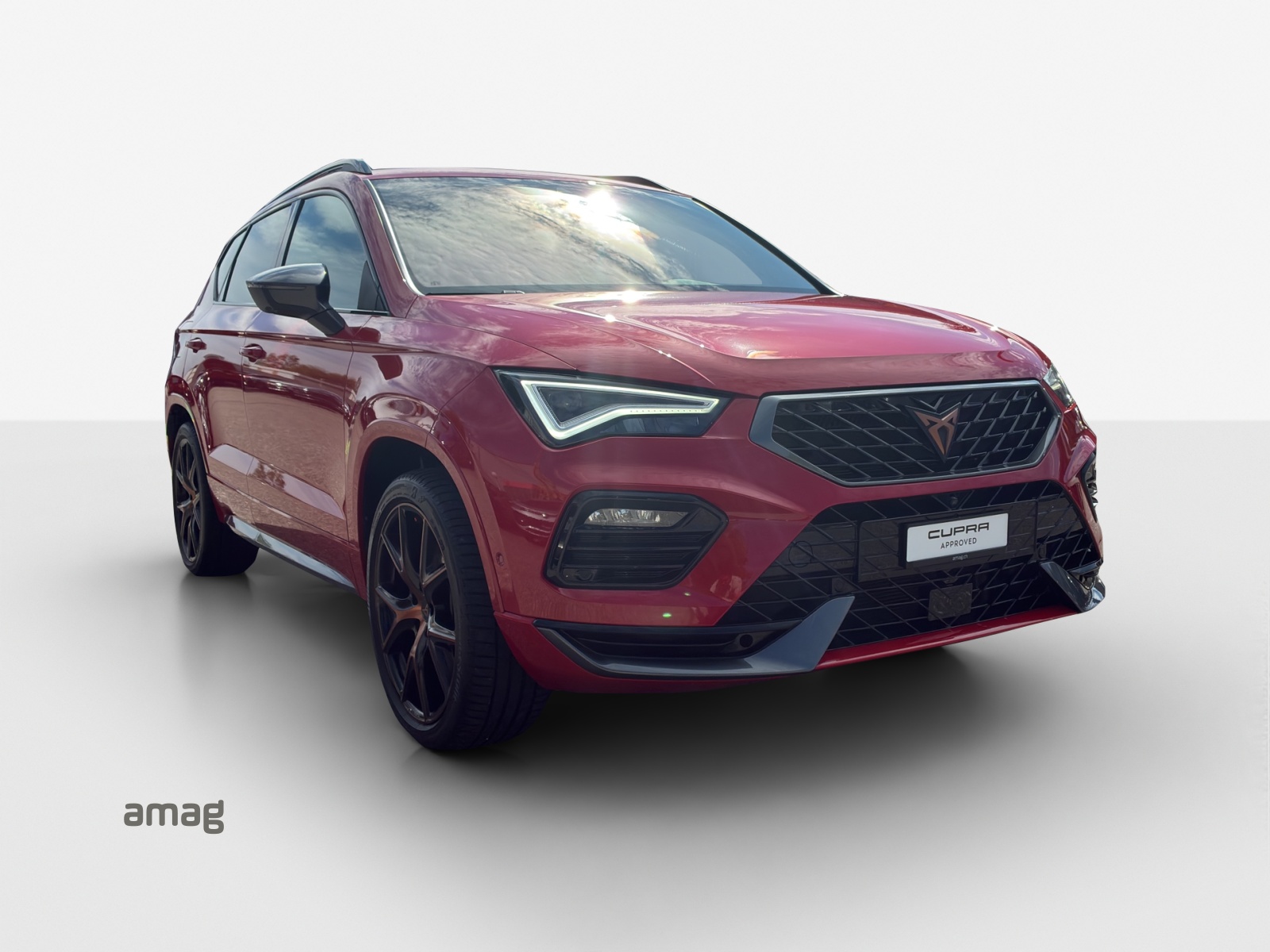 CUPRA Ateca 2.0TSI 4Drive DSG-image-5
