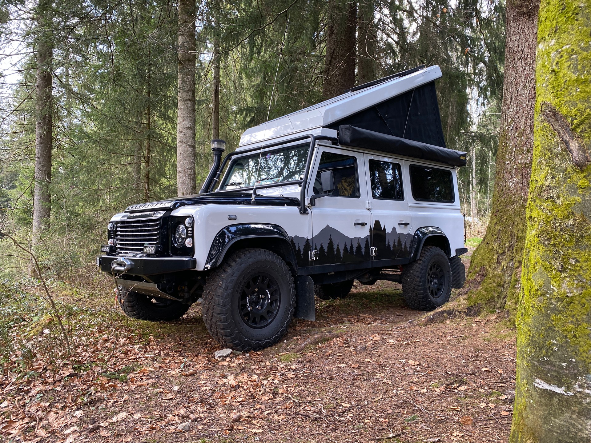 LAND ROVER TD4-image-1