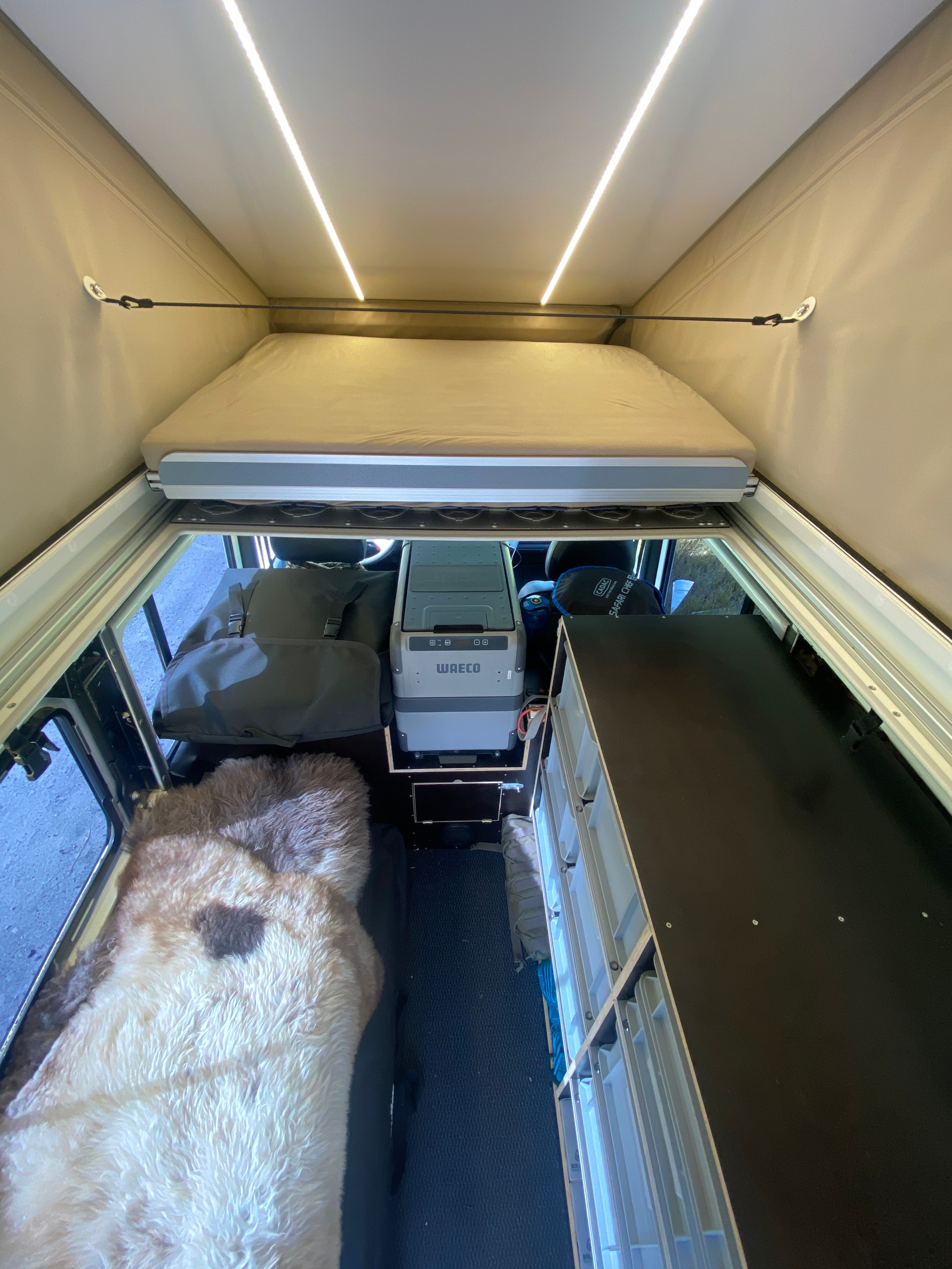 LAND ROVER TD4-image-6