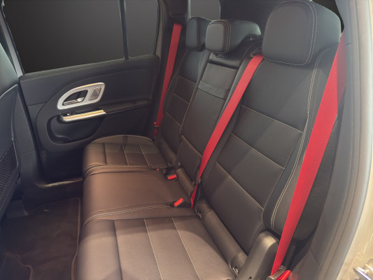 MERCEDES-BENZ GLB 350 85kWh EQ 4 Matic-image-9