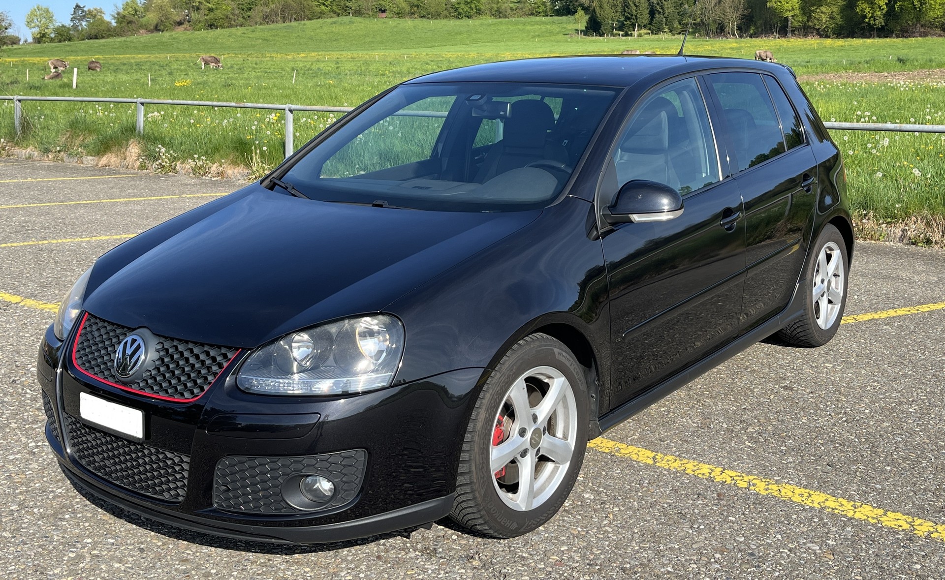 VW Golf 2.0 TFSI GTI